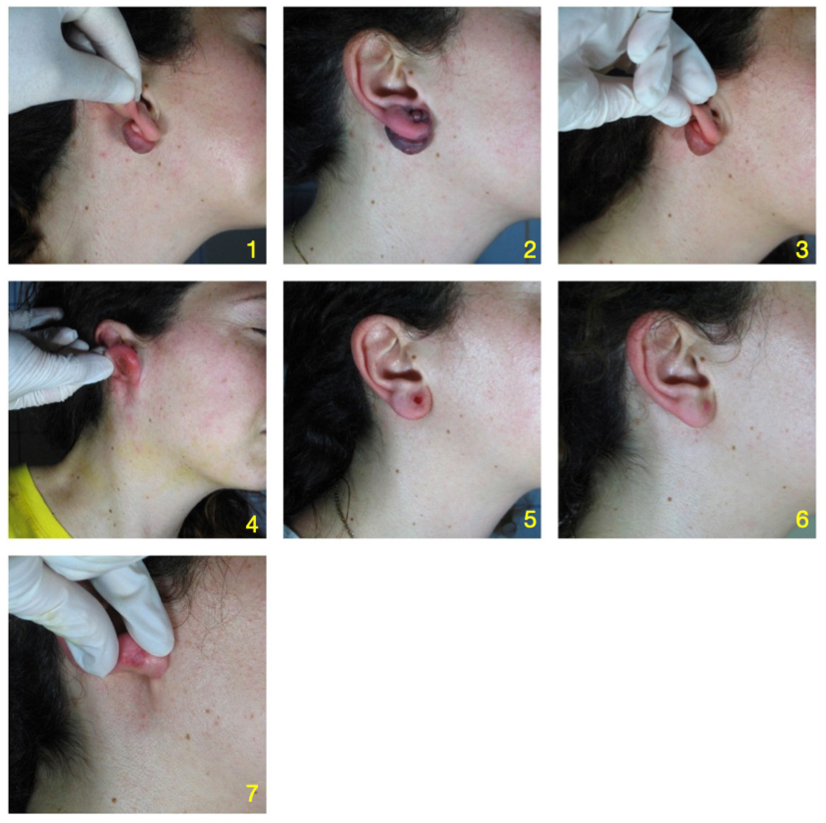 Cosmetics 10 00126 g002