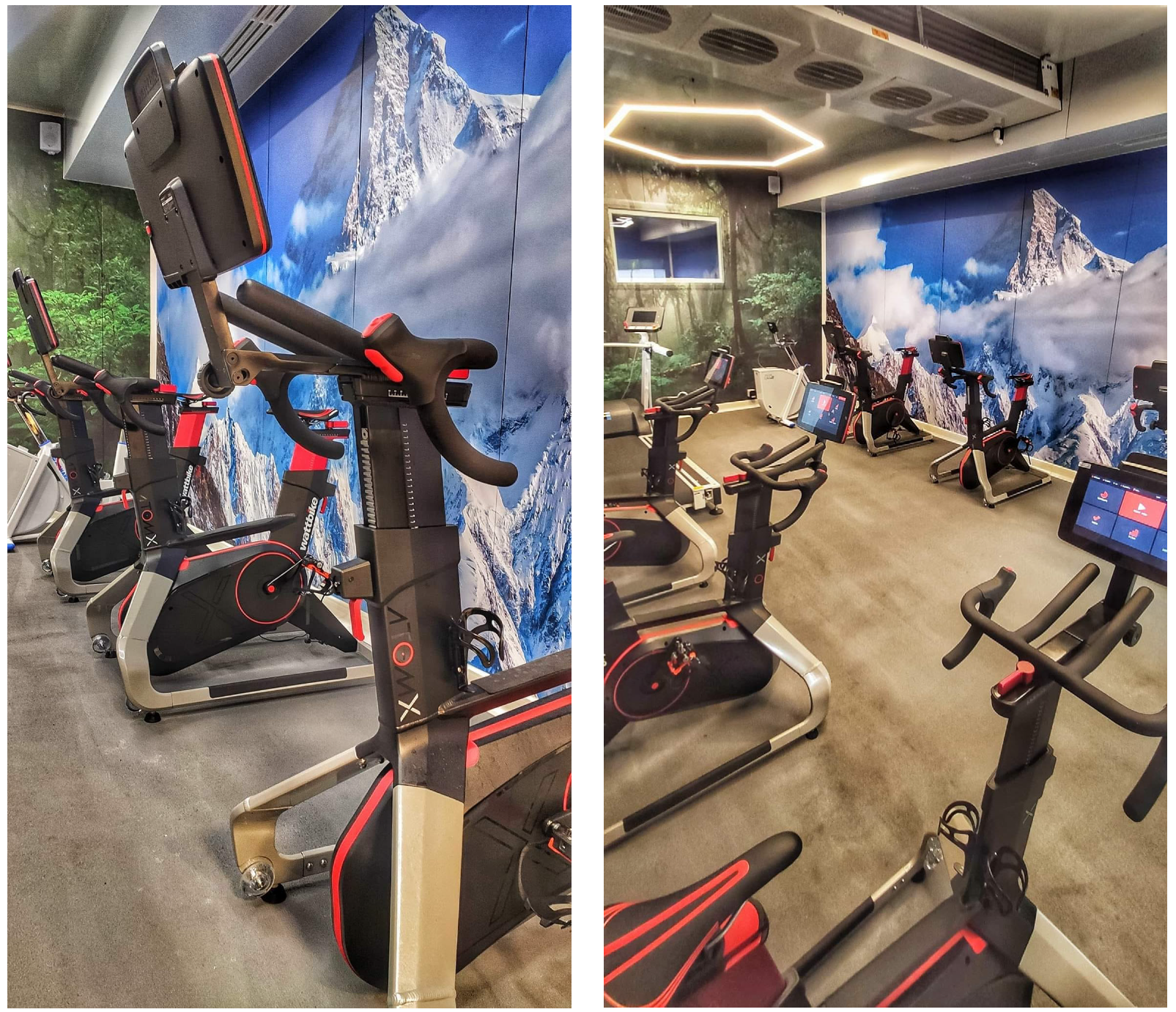 Cosmetics 10 00128 g002