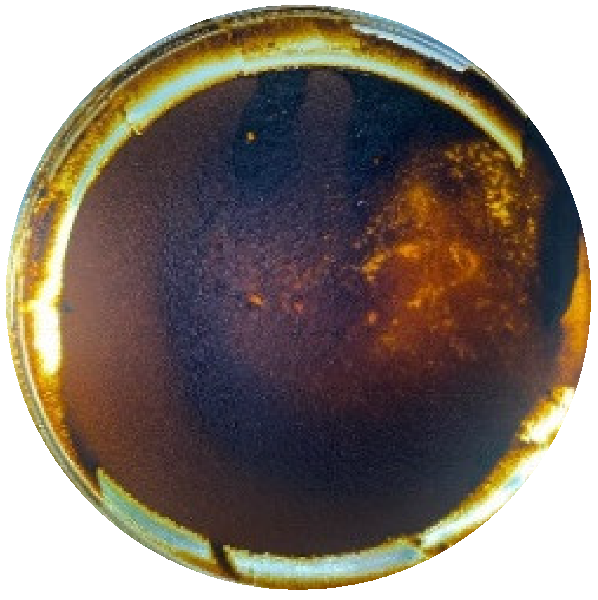 Cosmetics 10 00133 g002