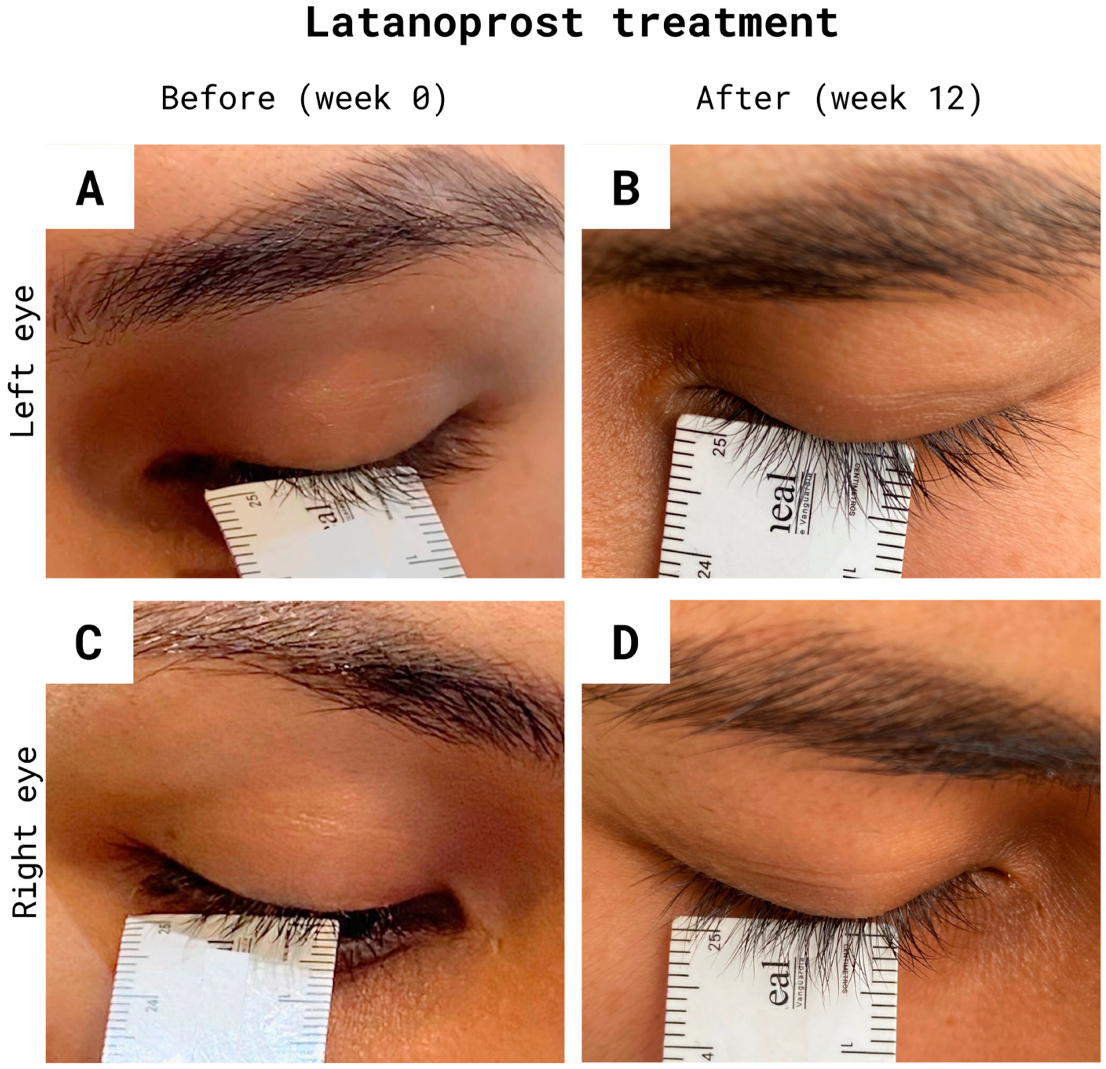 Cosmetics 10 00136 g003