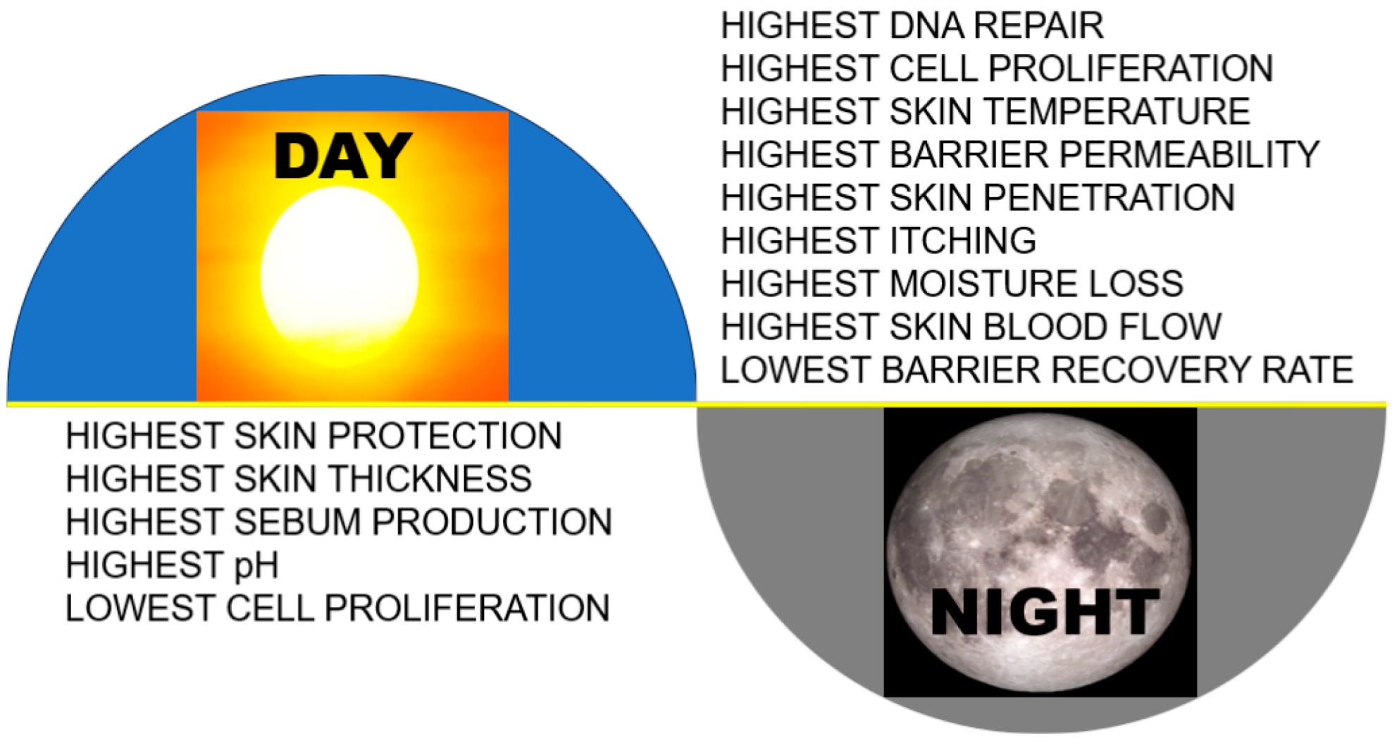 Cosmetics 10 00142 g008