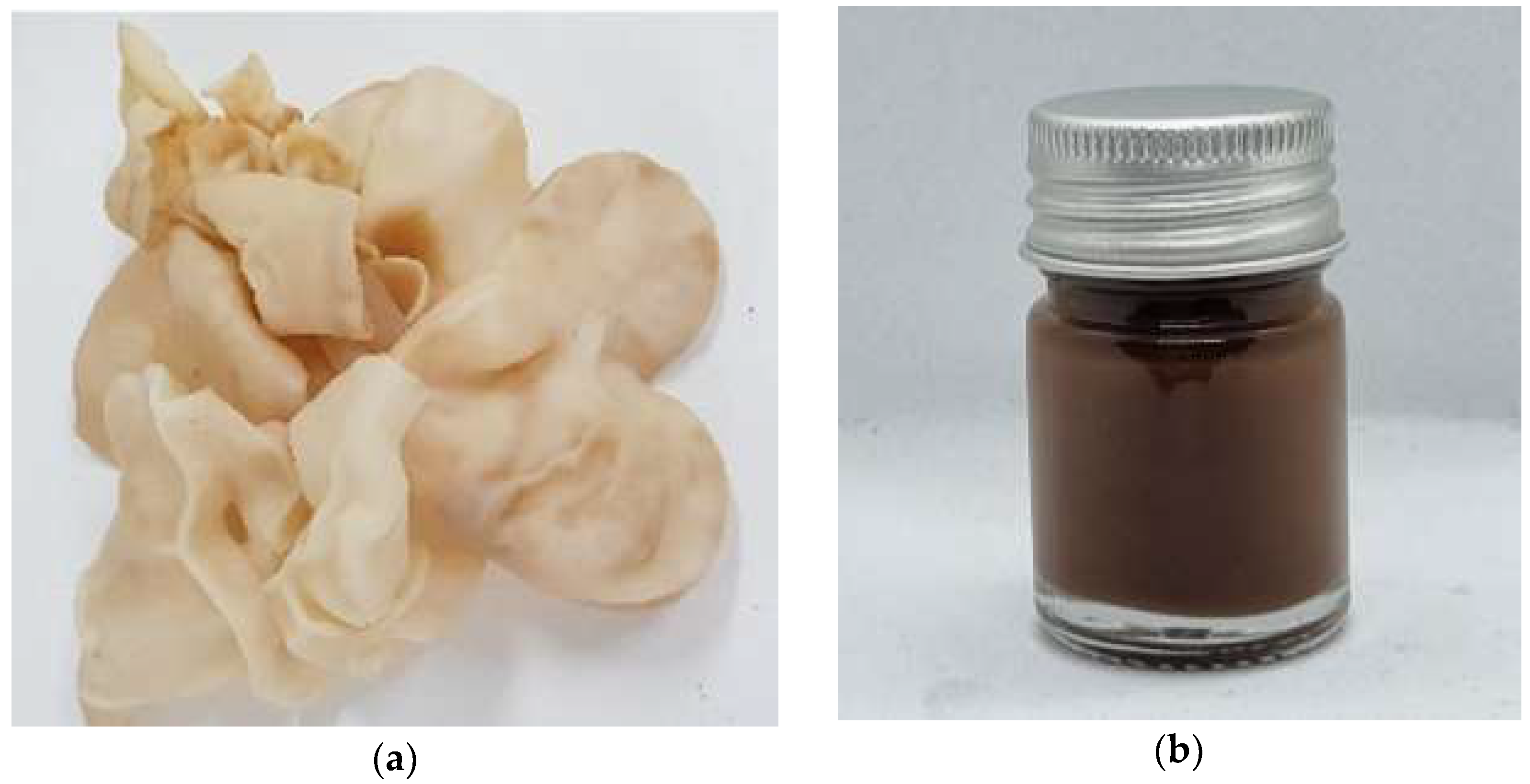 Cosmetics 10 00145 g001