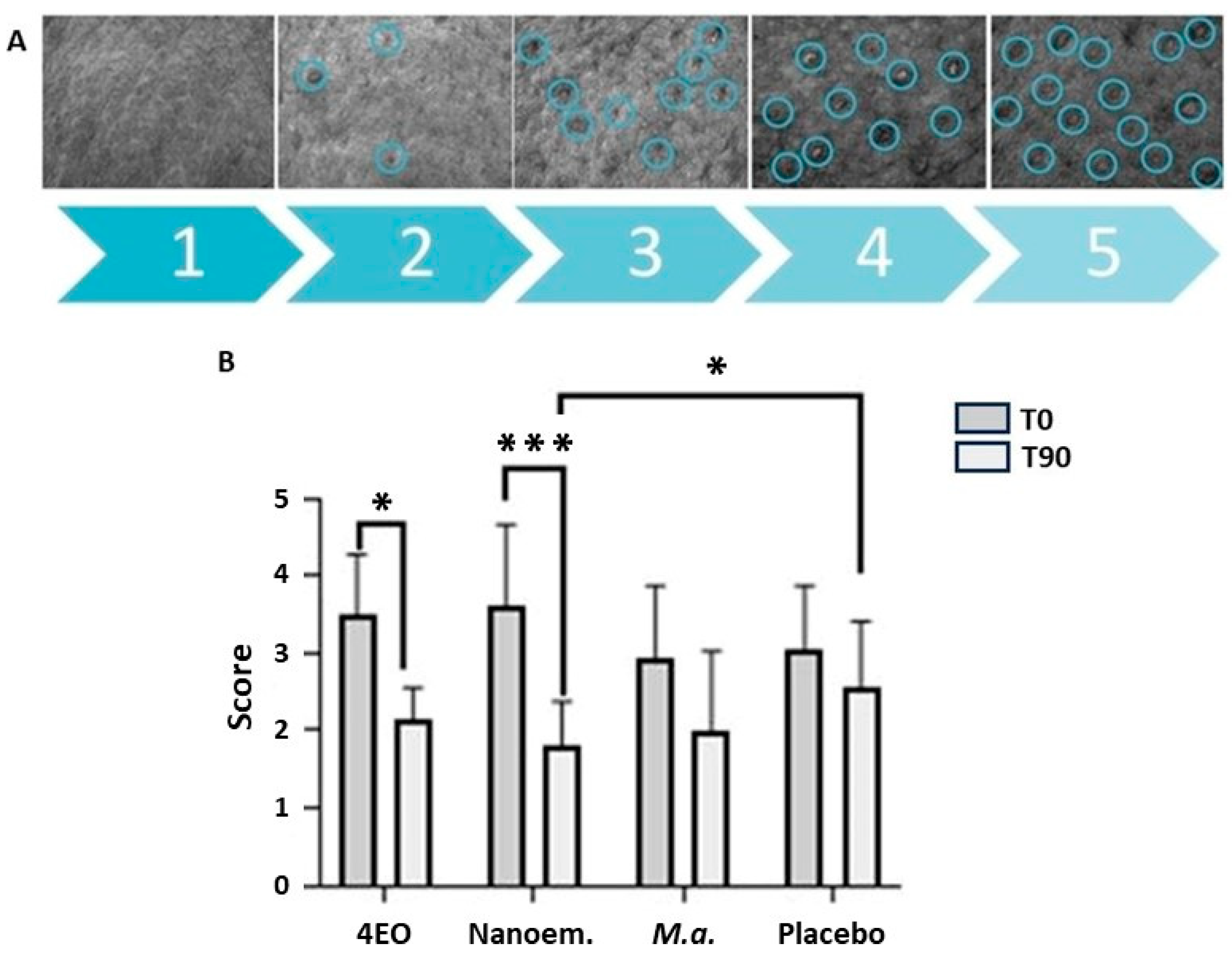 Cosmetics 10 00158 g004