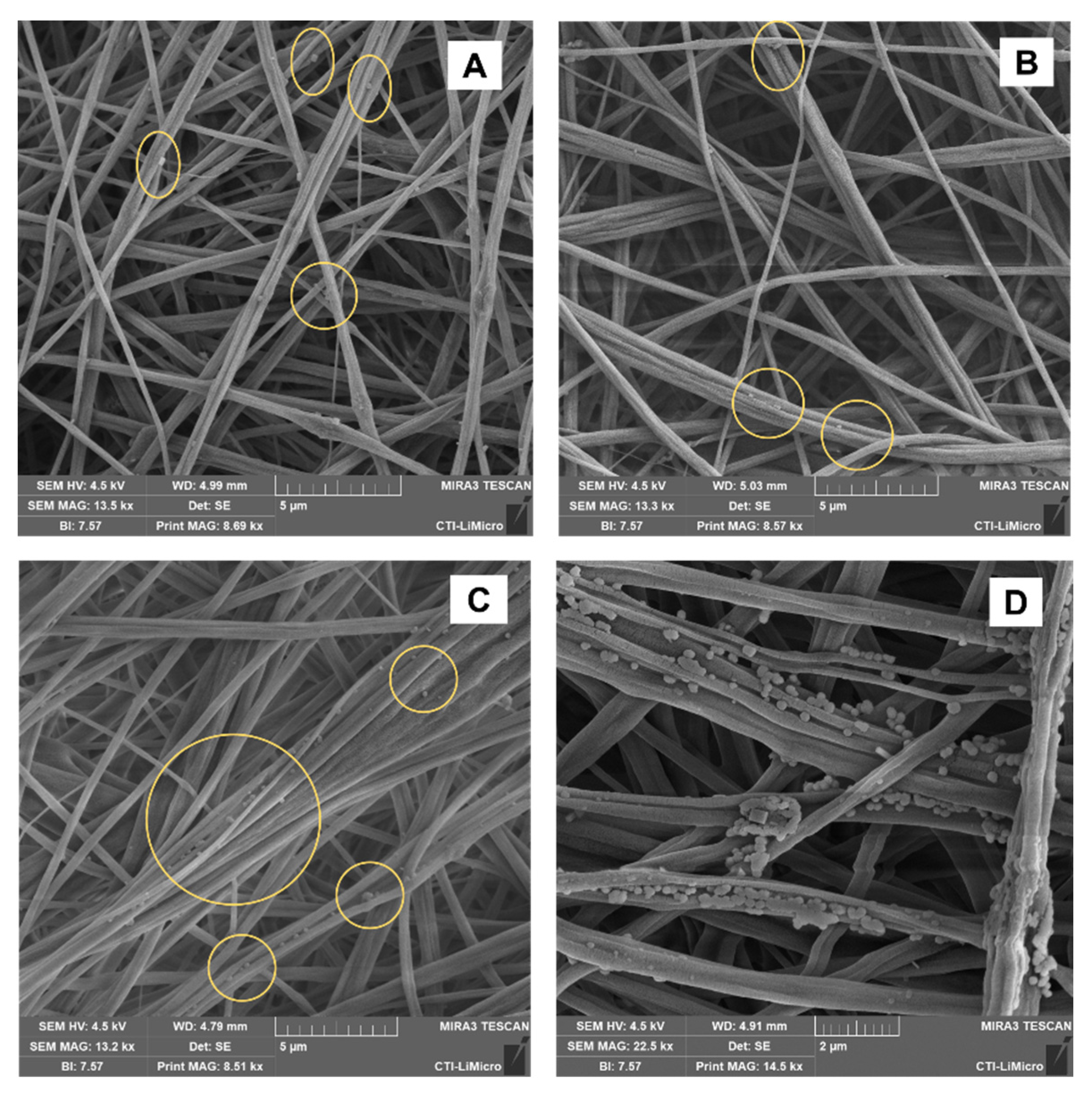 Cosmetics 10 00159 g004