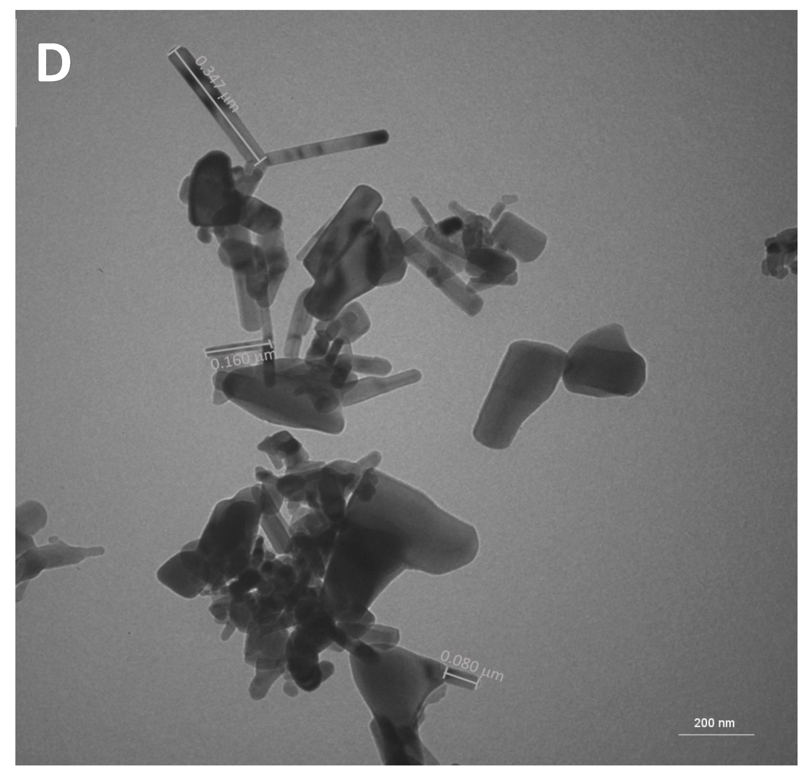 Cosmetics 11 00006 g001c