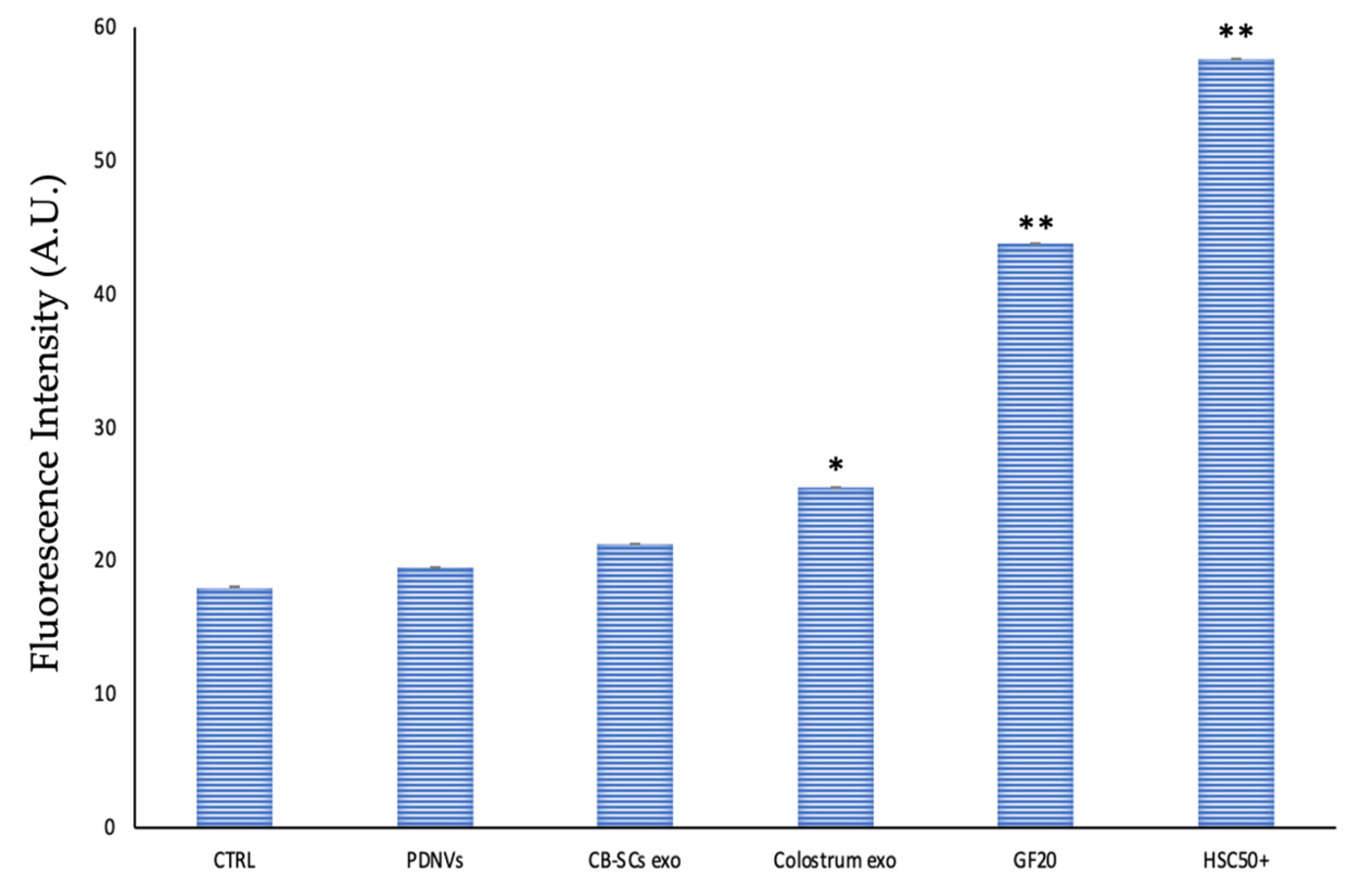 Cosmetics 11 00010 g005