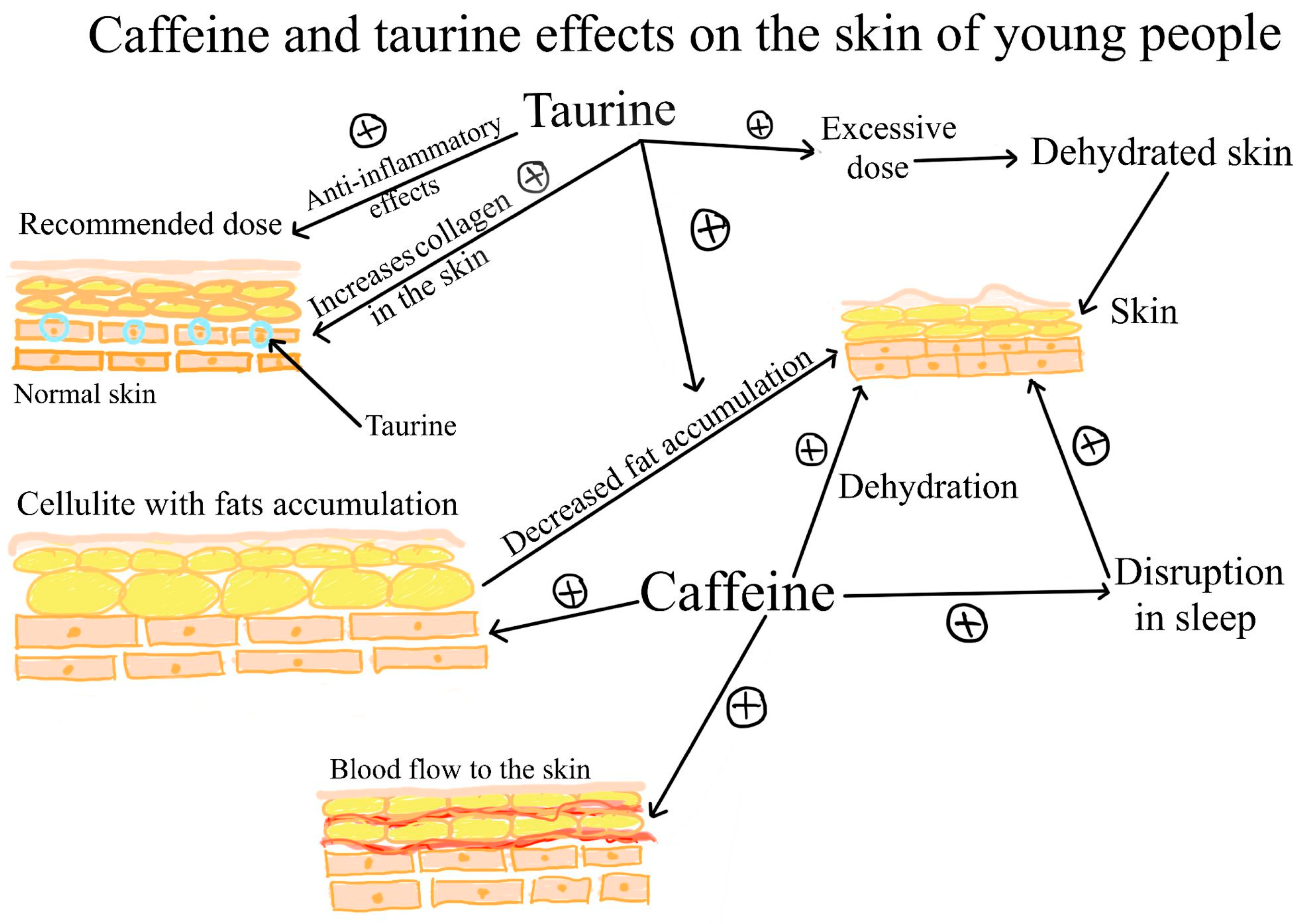 Cosmetics 11 00012 g001