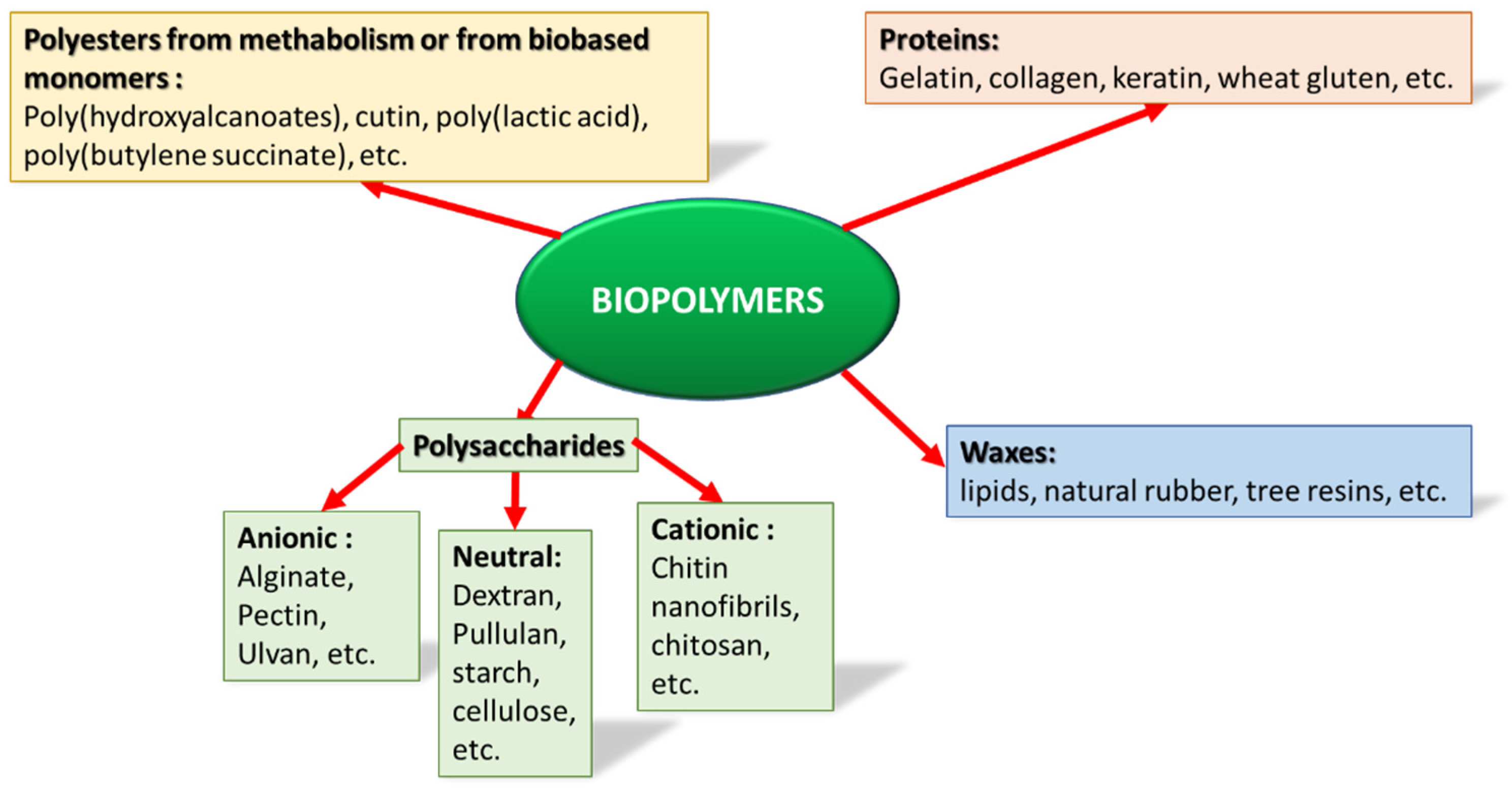 Cosmetics 11 00020 g005