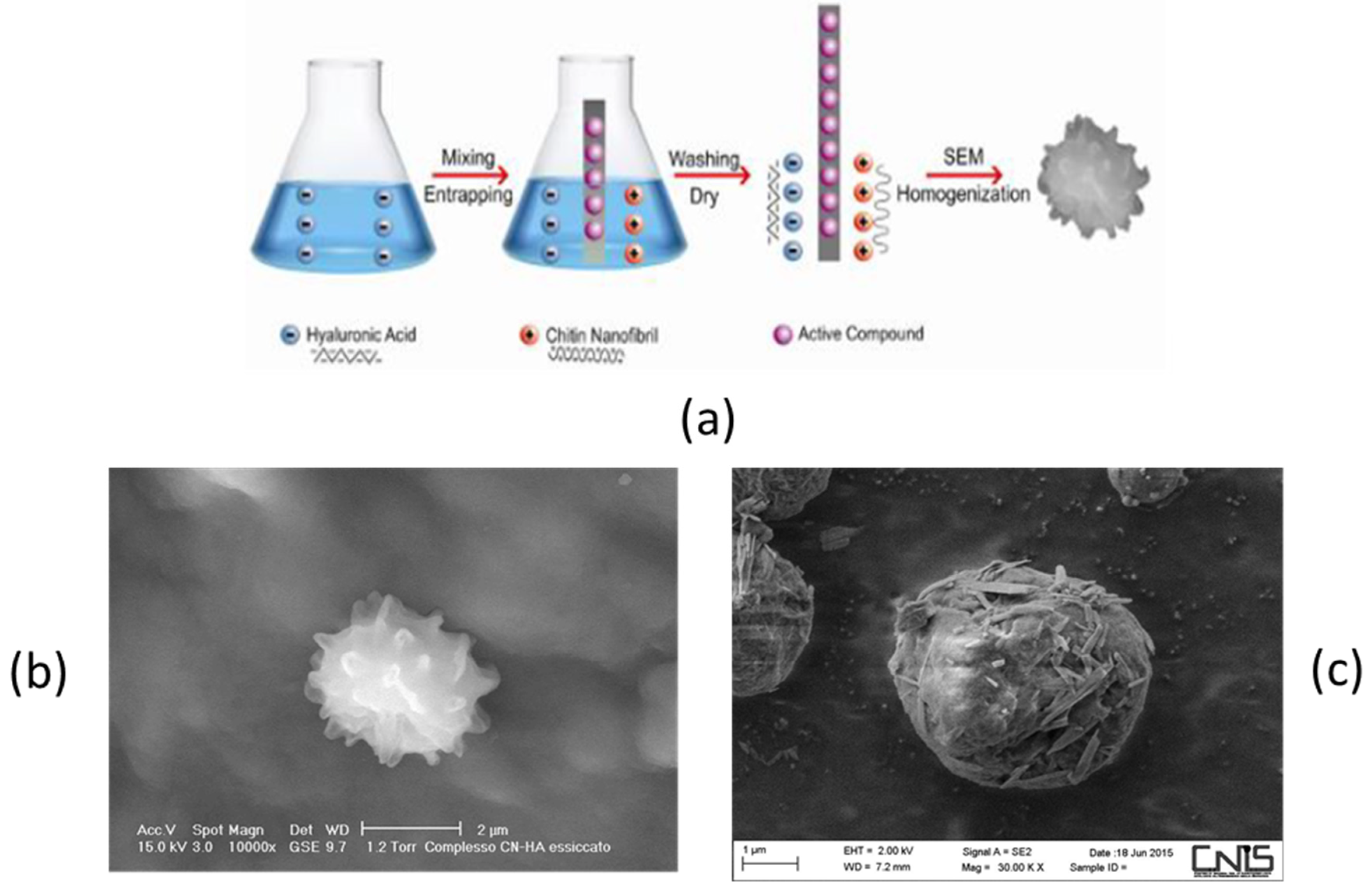 Cosmetics 11 00020 g008