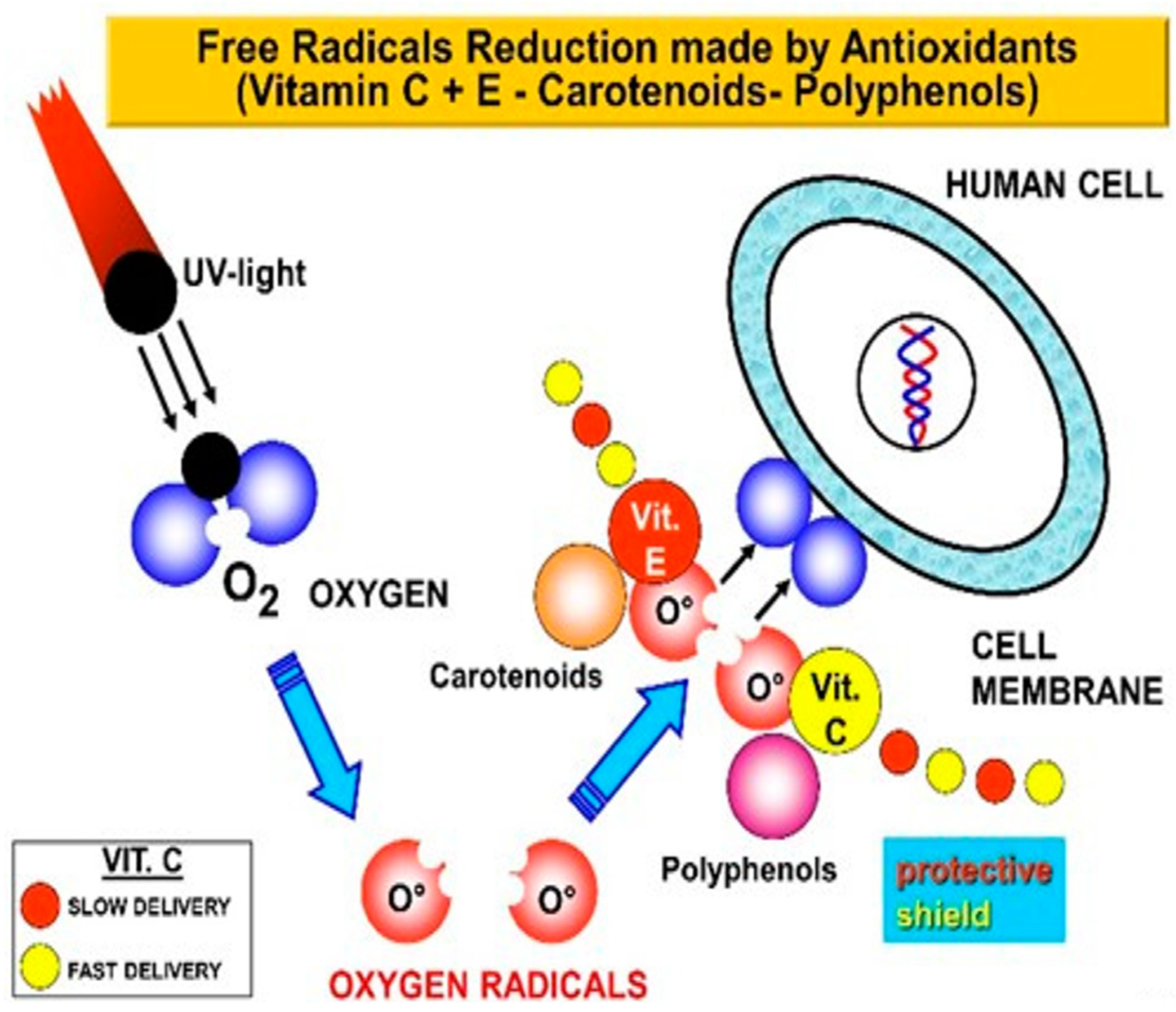 Cosmetics 11 00020 g010