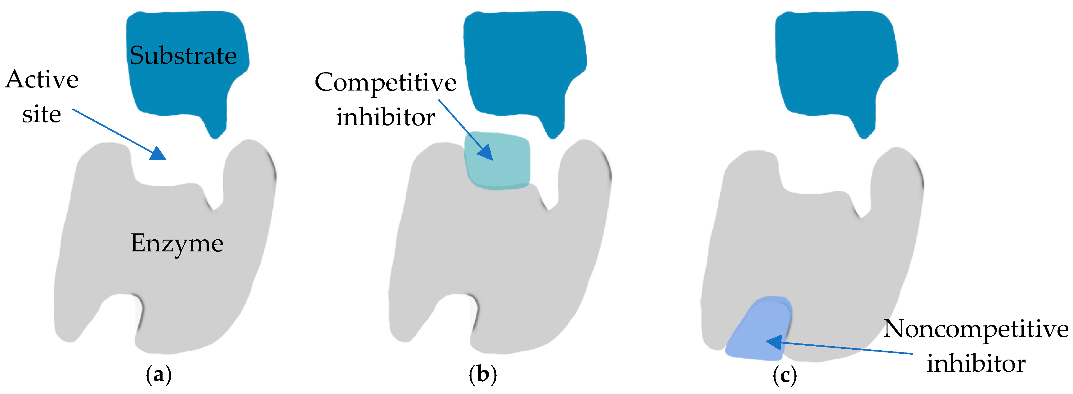 Cosmetics 11 00021 g003