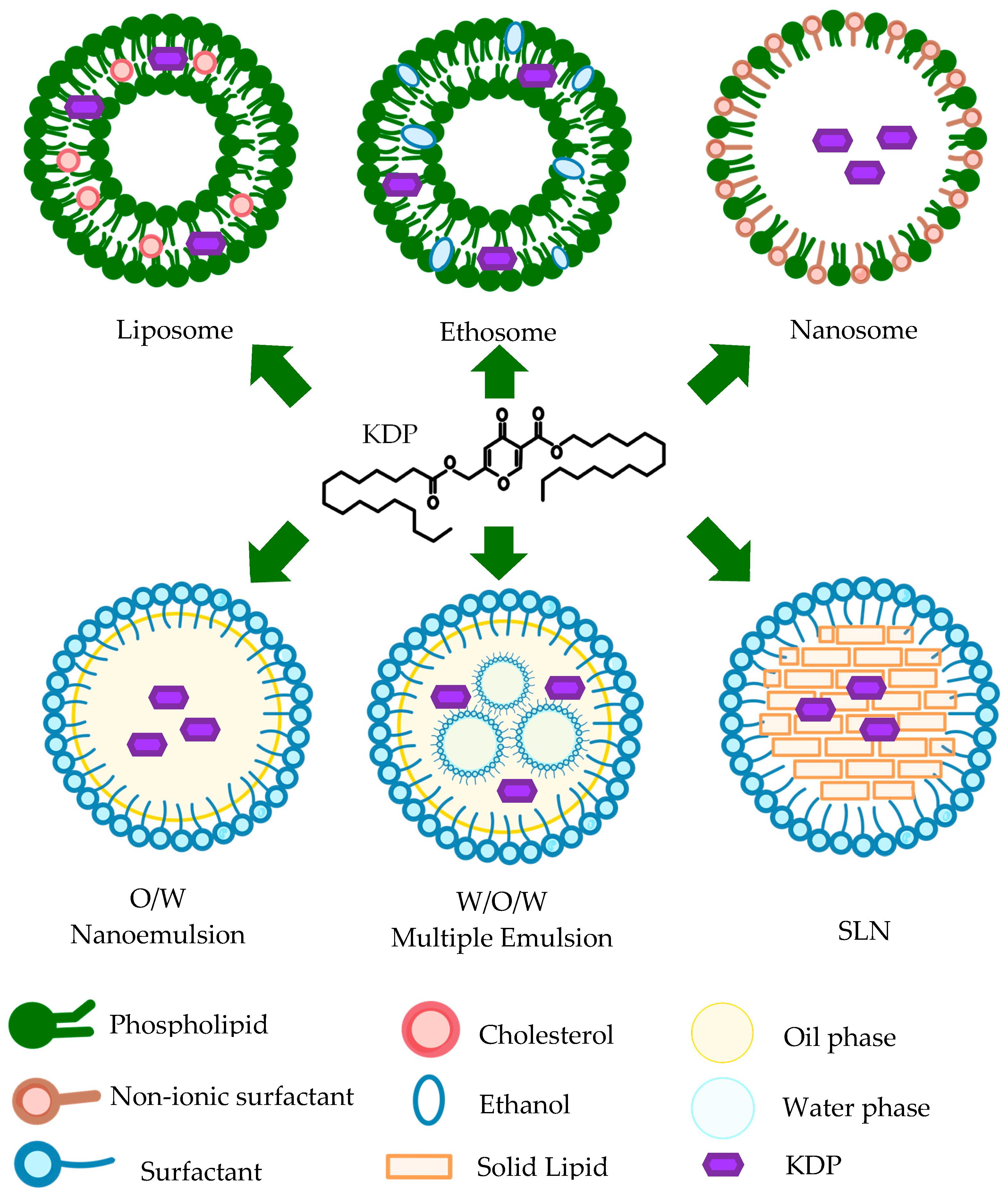 Cosmetics 11 00021 g005