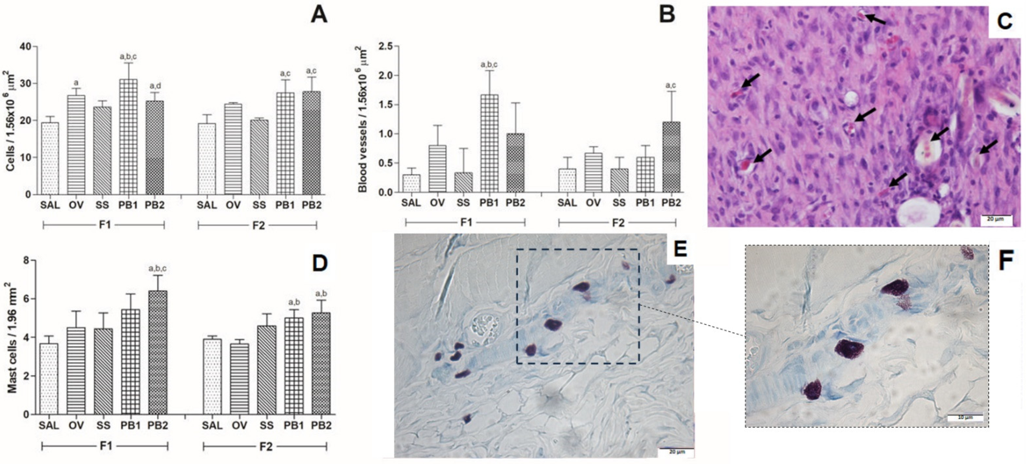 Cosmetics 11 00027 g001
