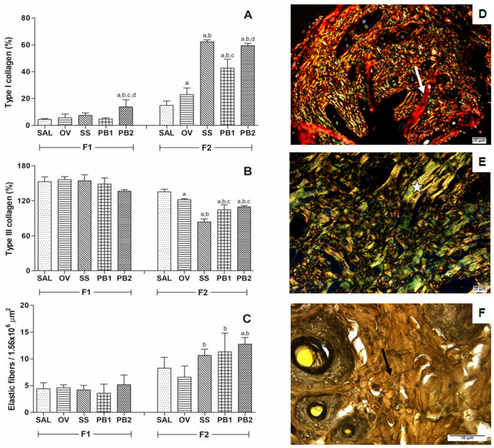 Cosmetics 11 00027 g002