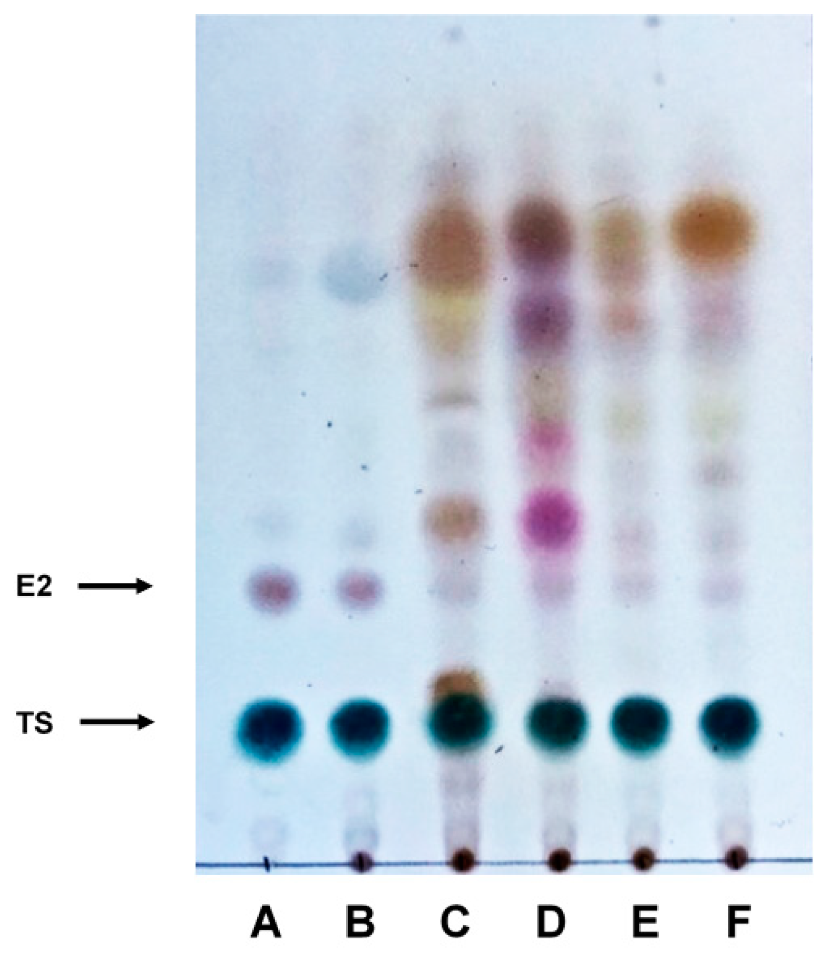 Cosmetics 11 00033 g001