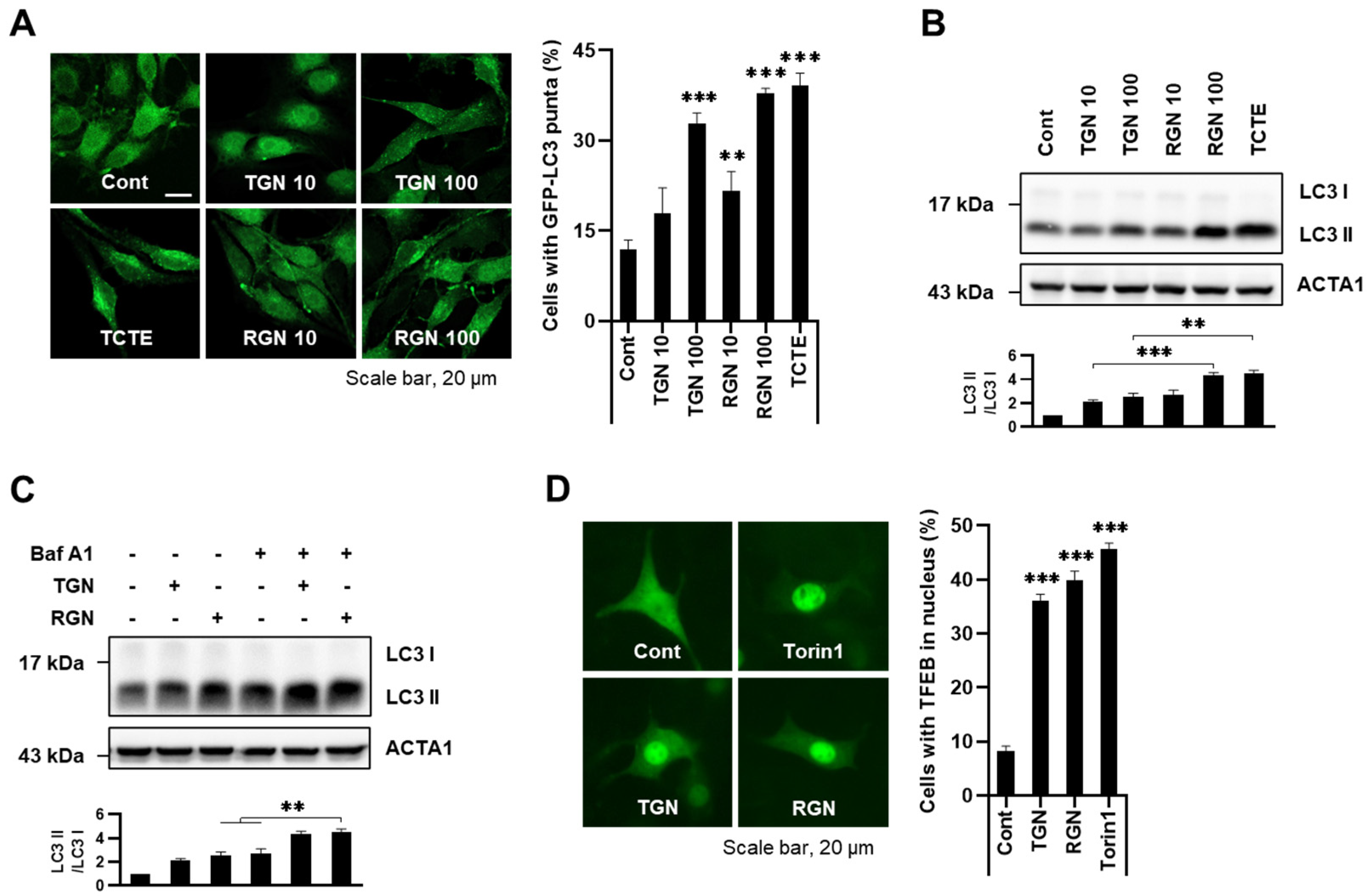 Cosmetics 11 00035 g001