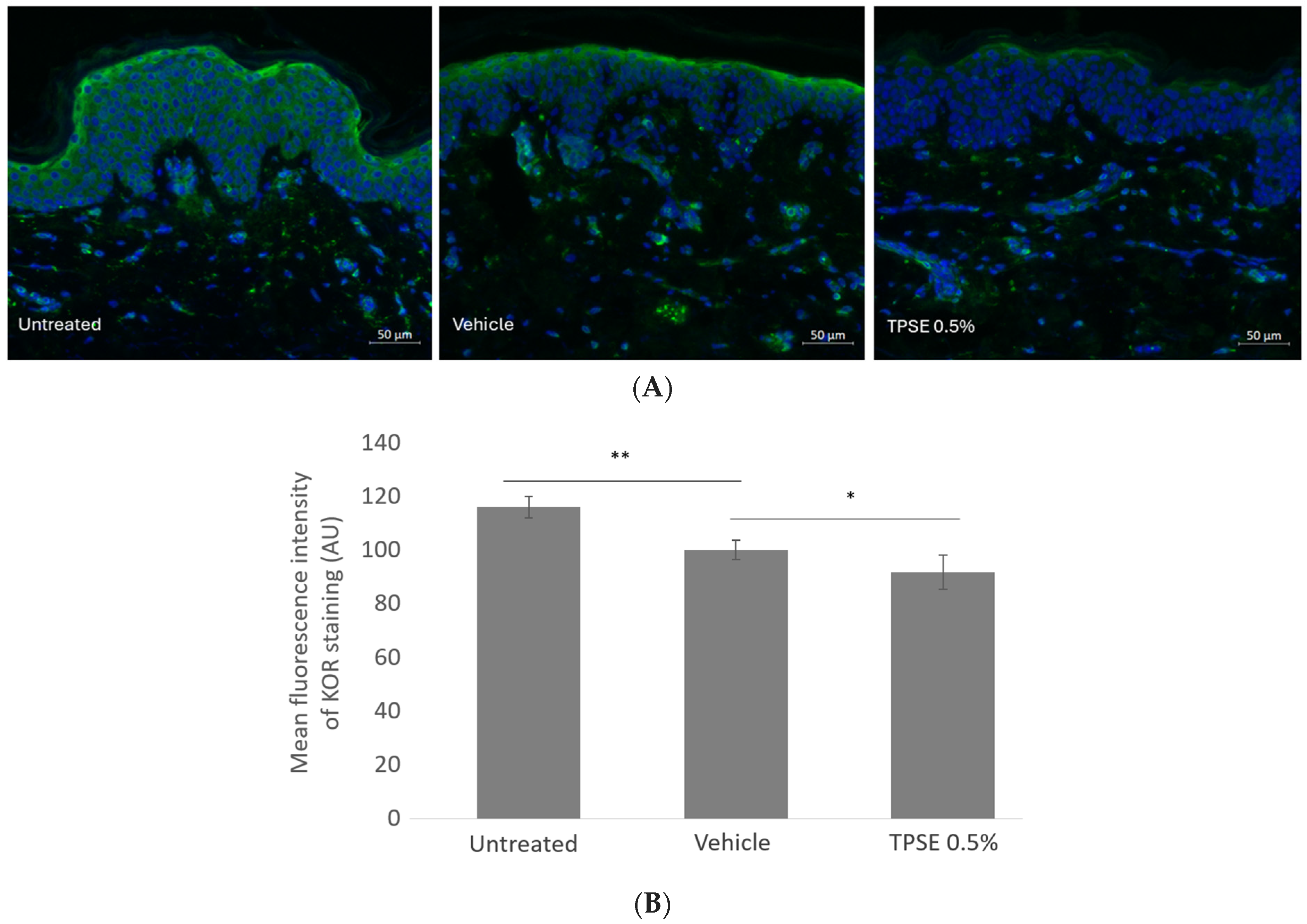Cosmetics 11 00036 g003