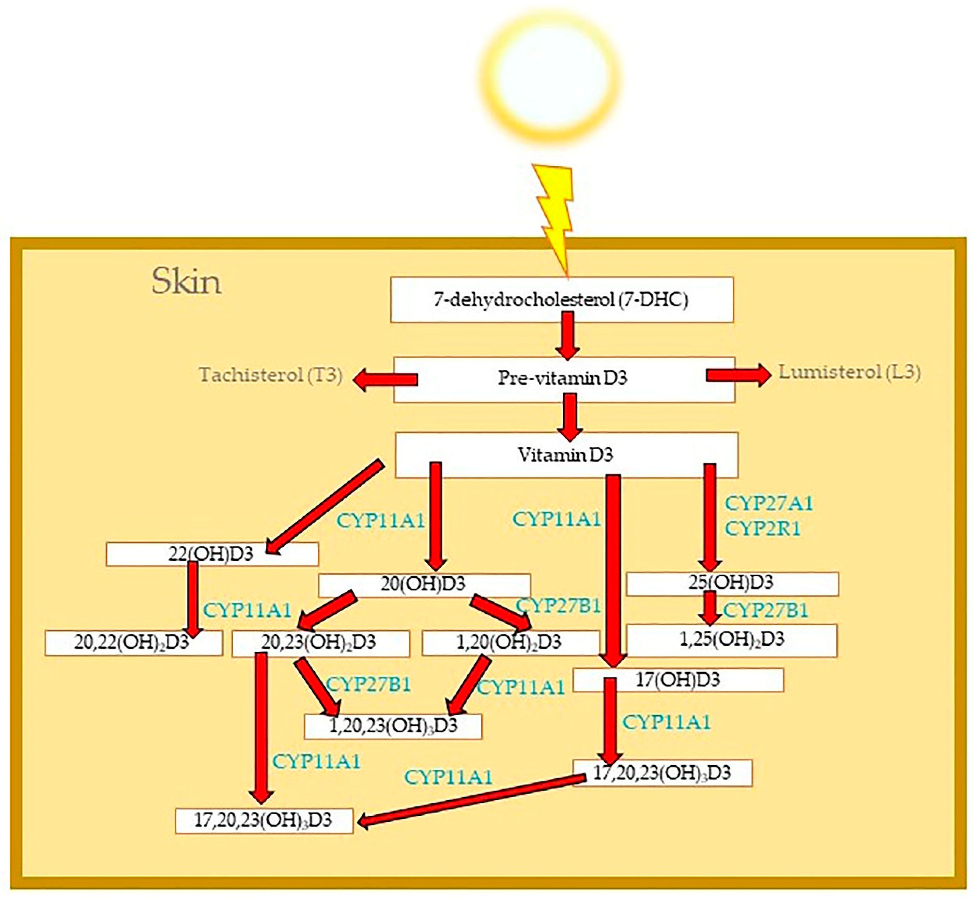 Cosmetics 11 00037 g001