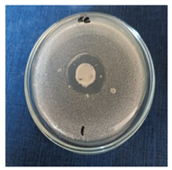 Cosmetics 11 00040 i001