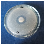 Cosmetics 11 00040 i003