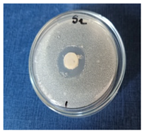 Cosmetics 11 00040 i005