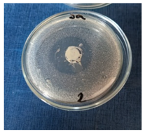 Cosmetics 11 00040 i006