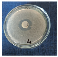 Cosmetics 11 00040 i008