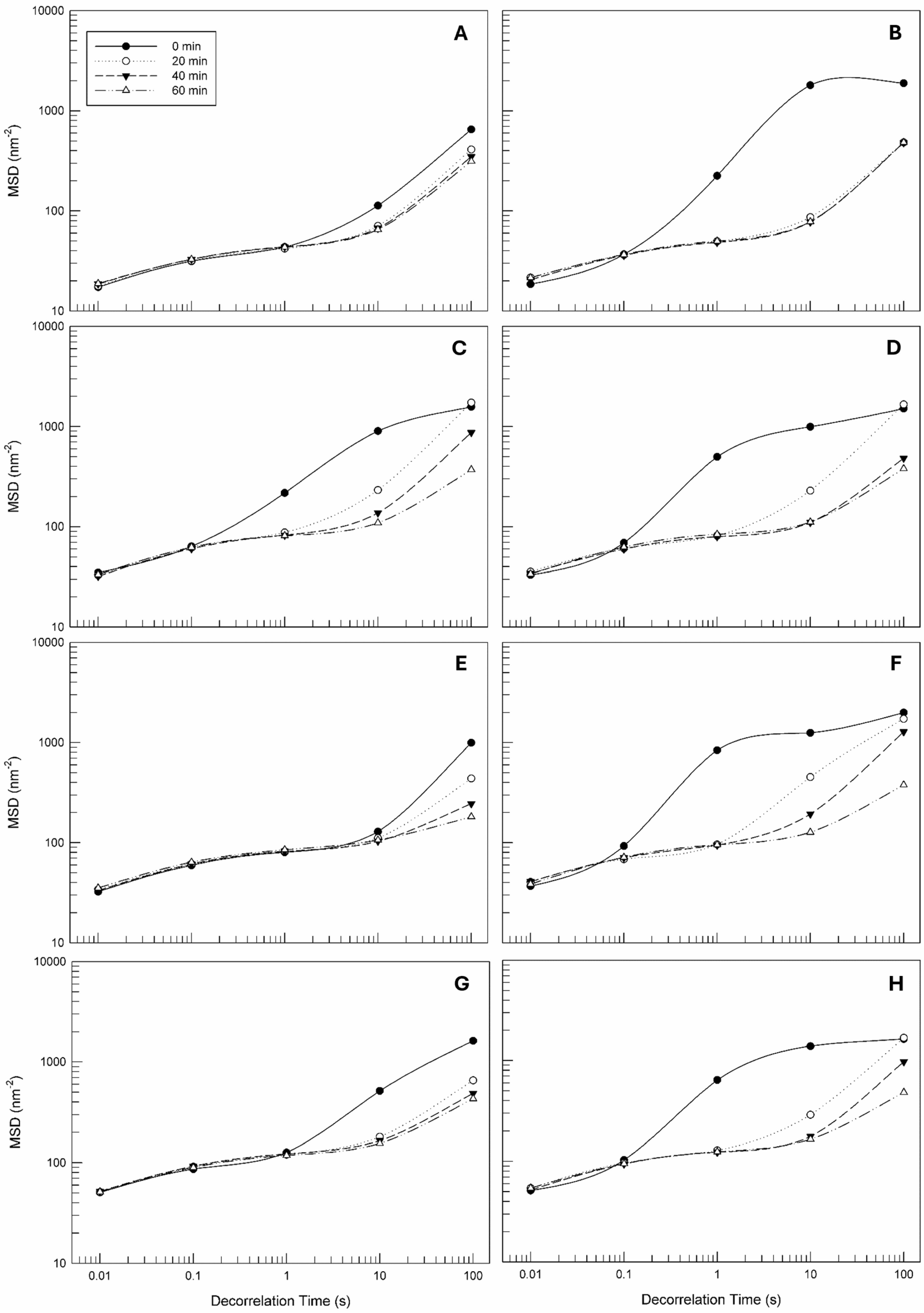 Cosmetics 11 00041 g002