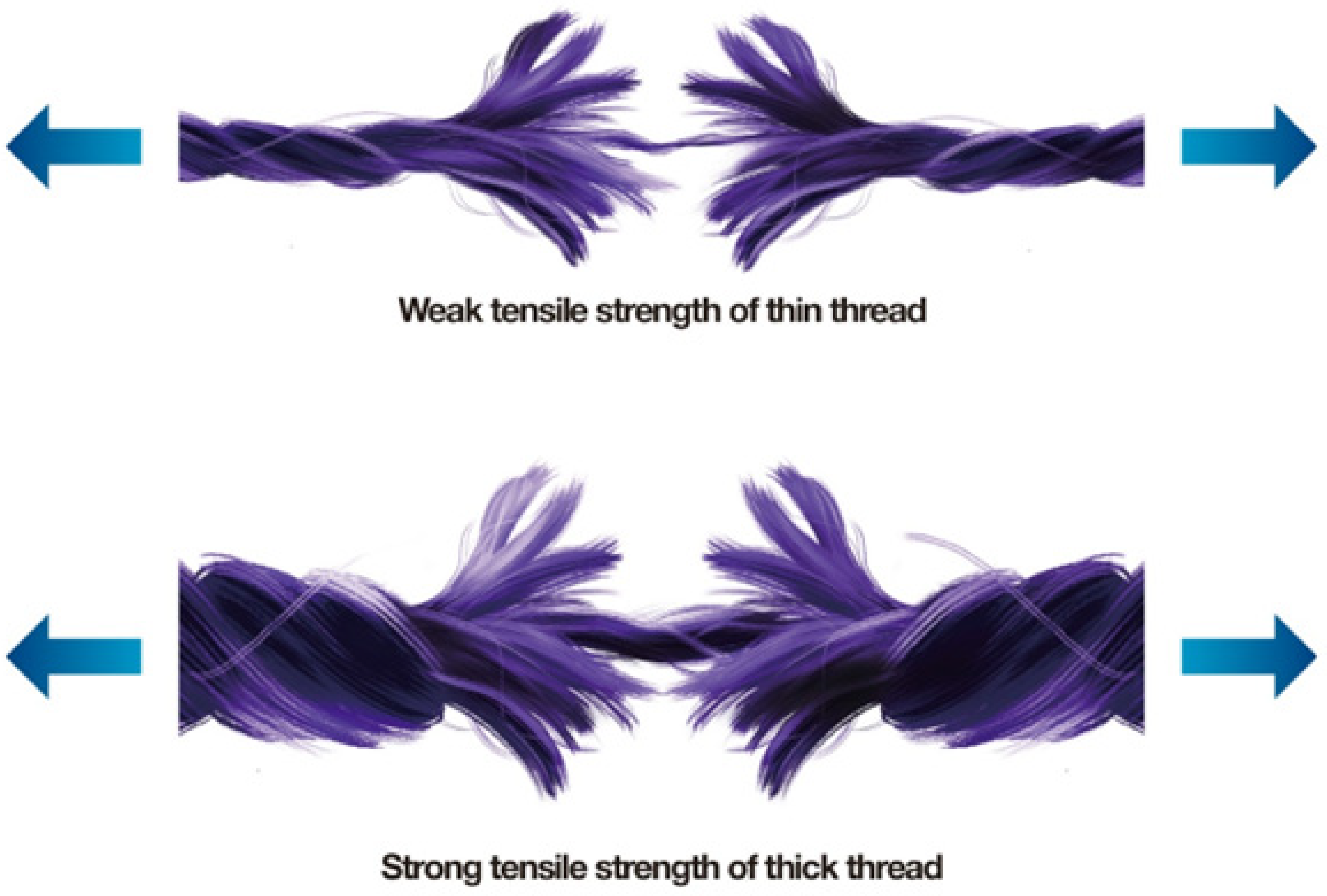 Cosmetics 11 00042 g002