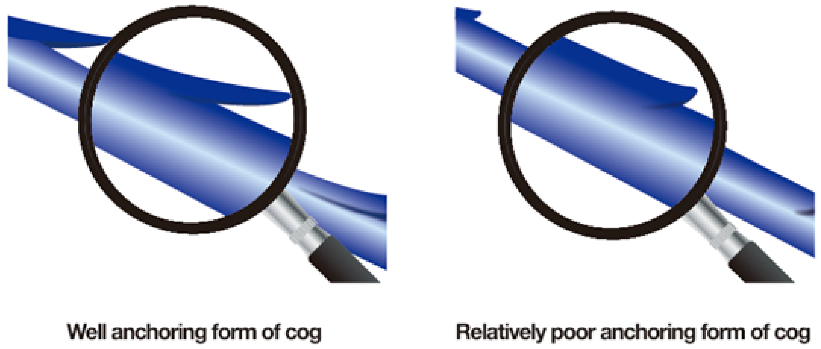 Cosmetics 11 00042 g009