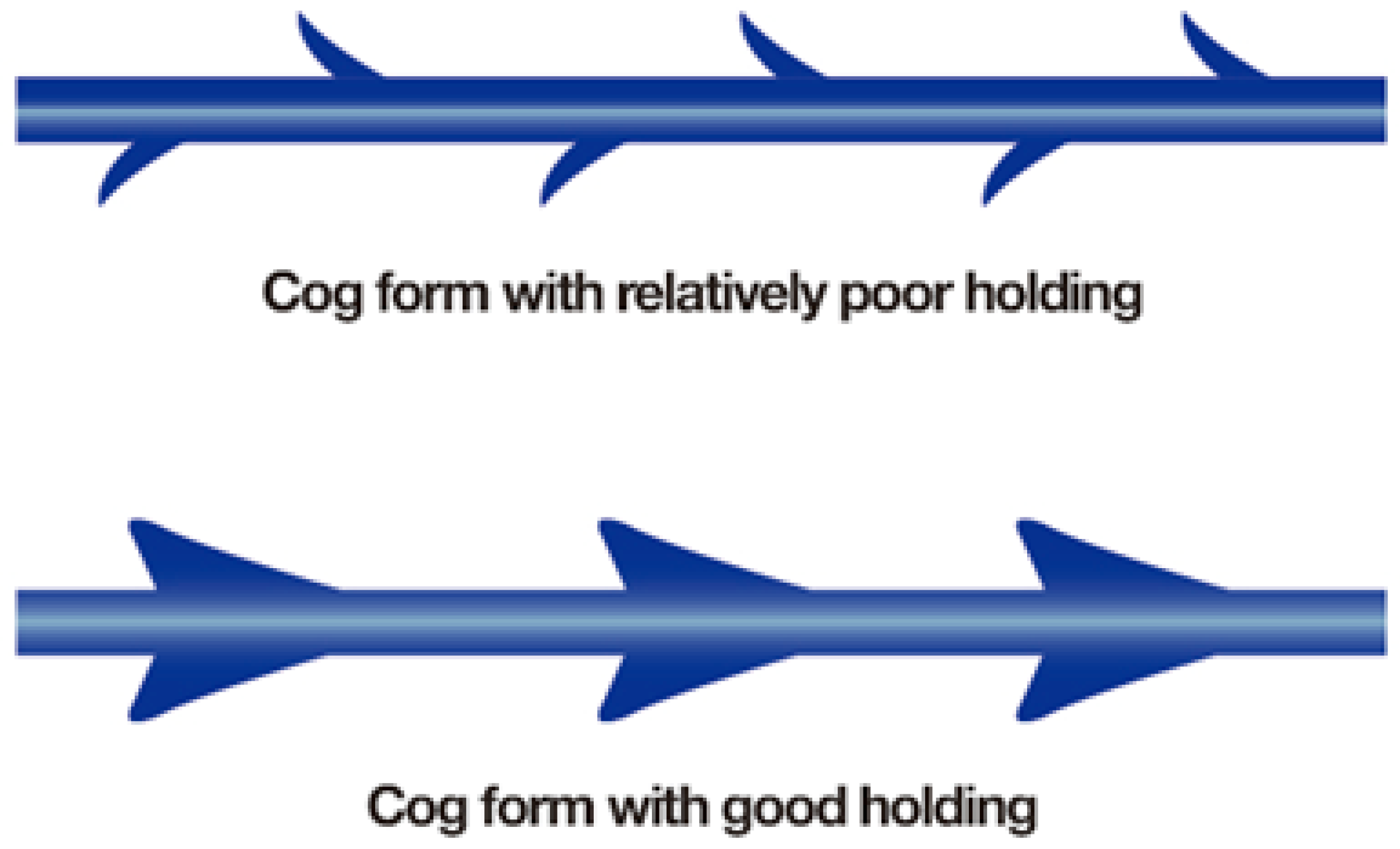 Cosmetics 11 00042 g010