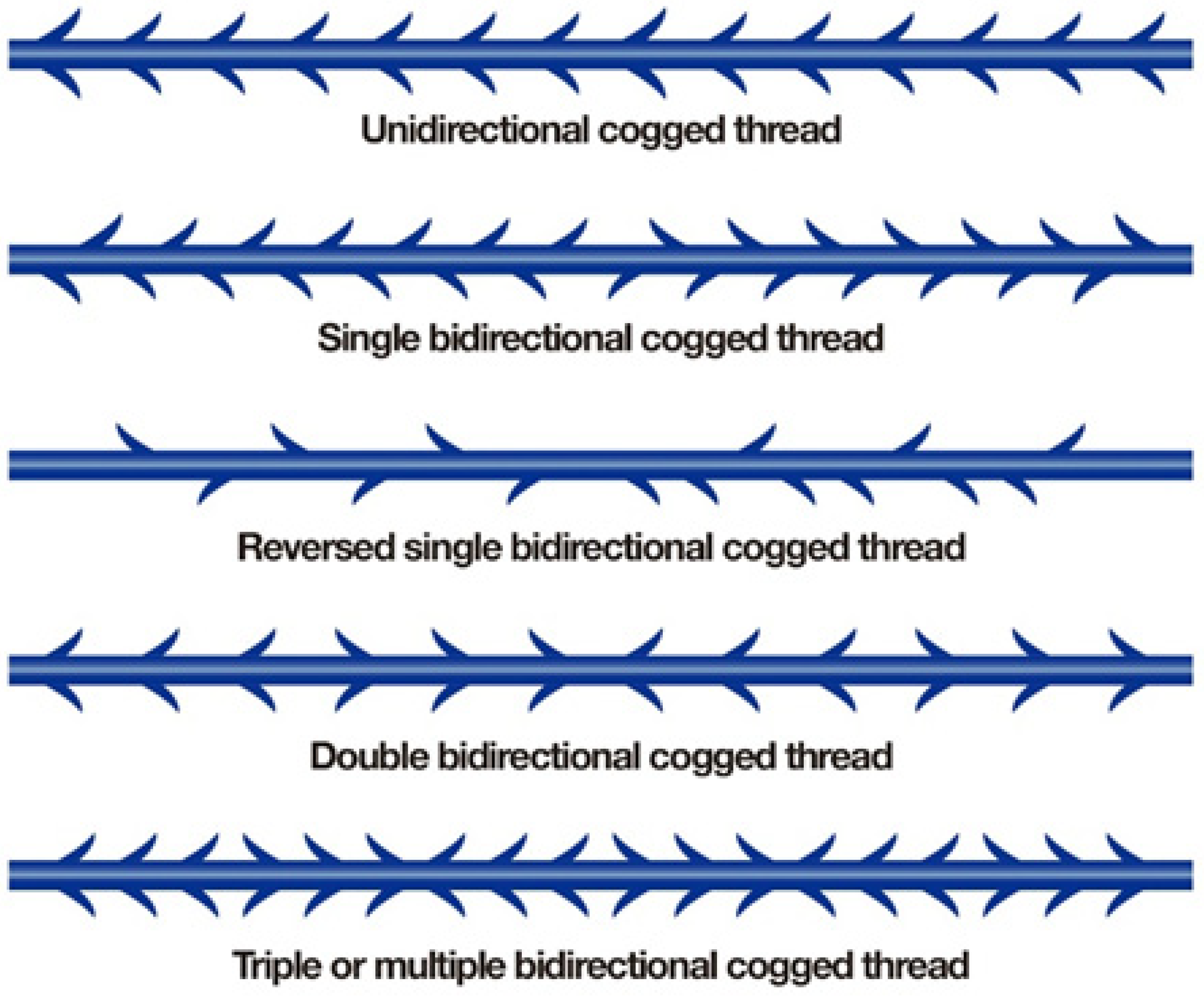 Cosmetics 11 00042 g012