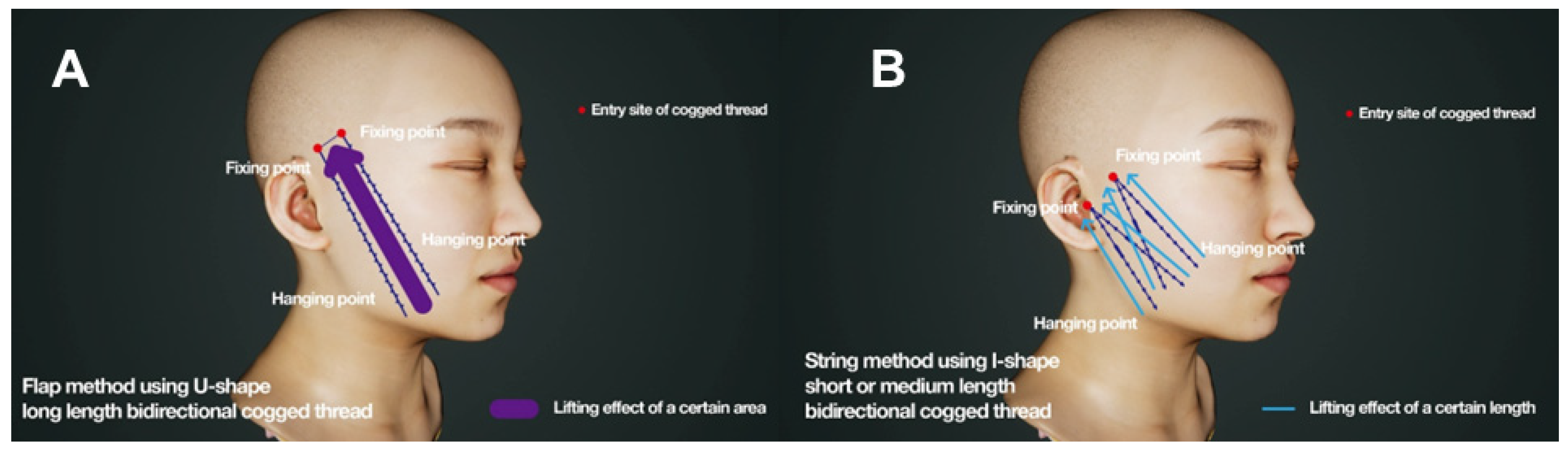 Cosmetics 11 00042 g019