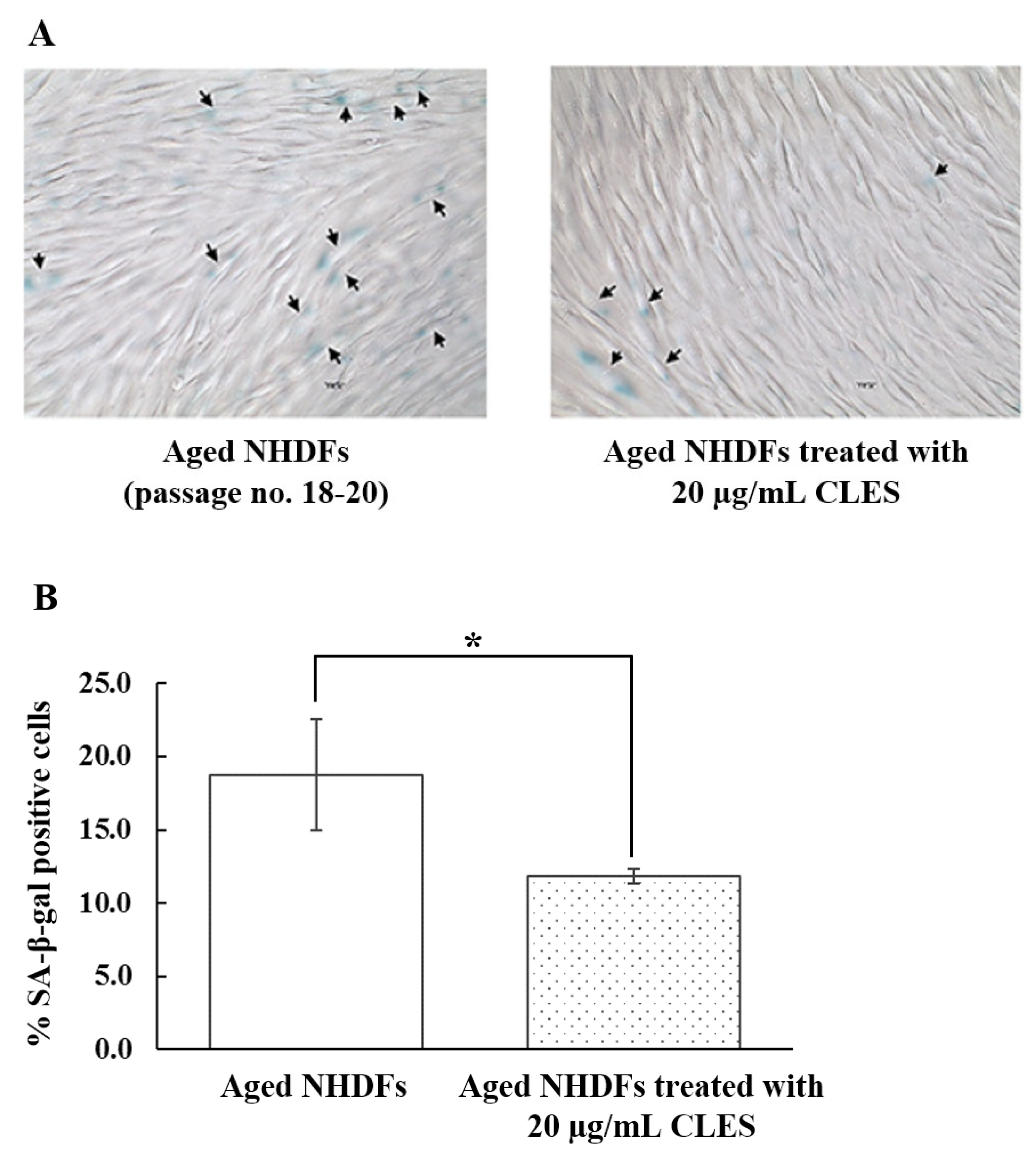 Cosmetics 11 00045 g005