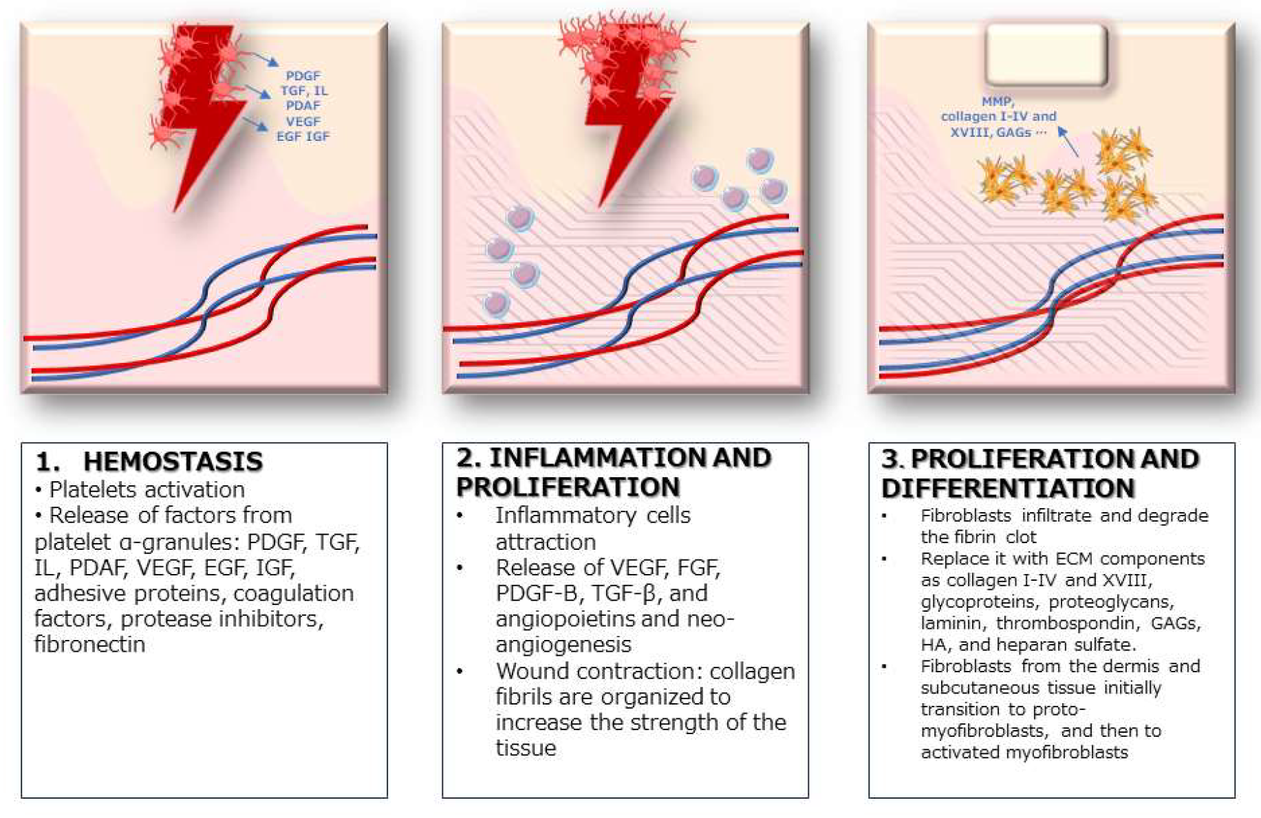 Cosmetics 11 00049 g001