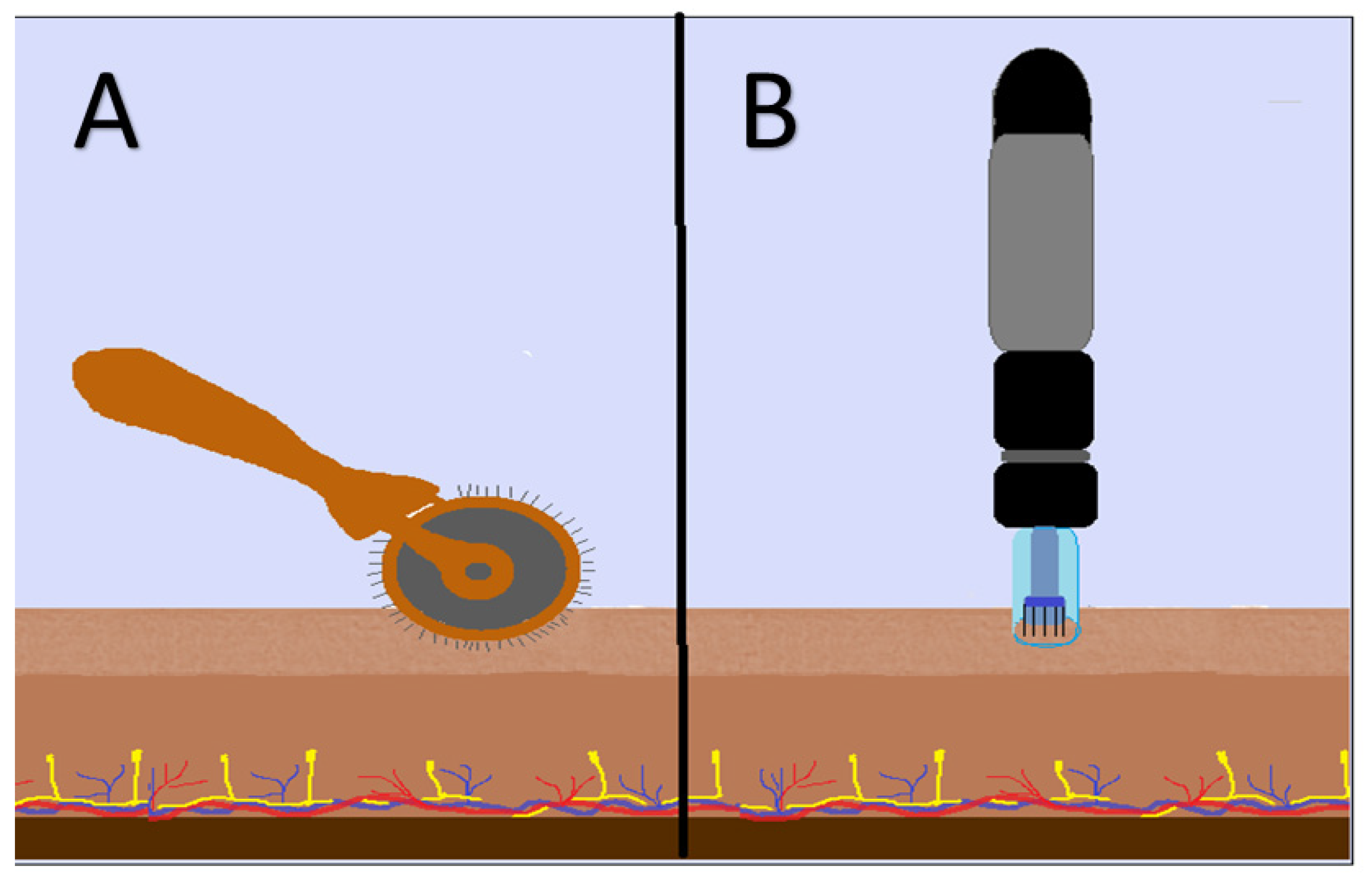 Cosmetics 11 00051 g001