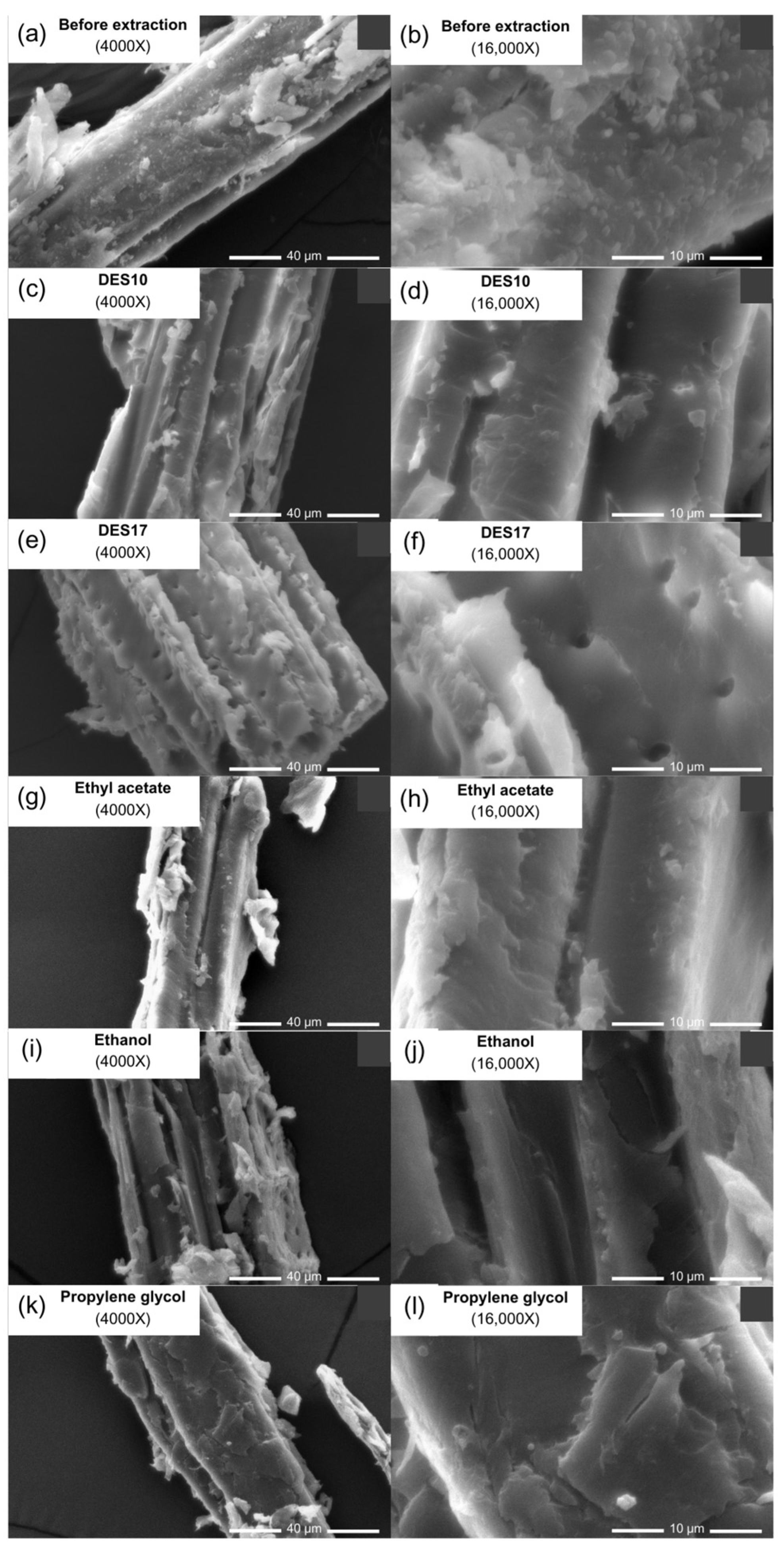 Cosmetics 11 00058 g006