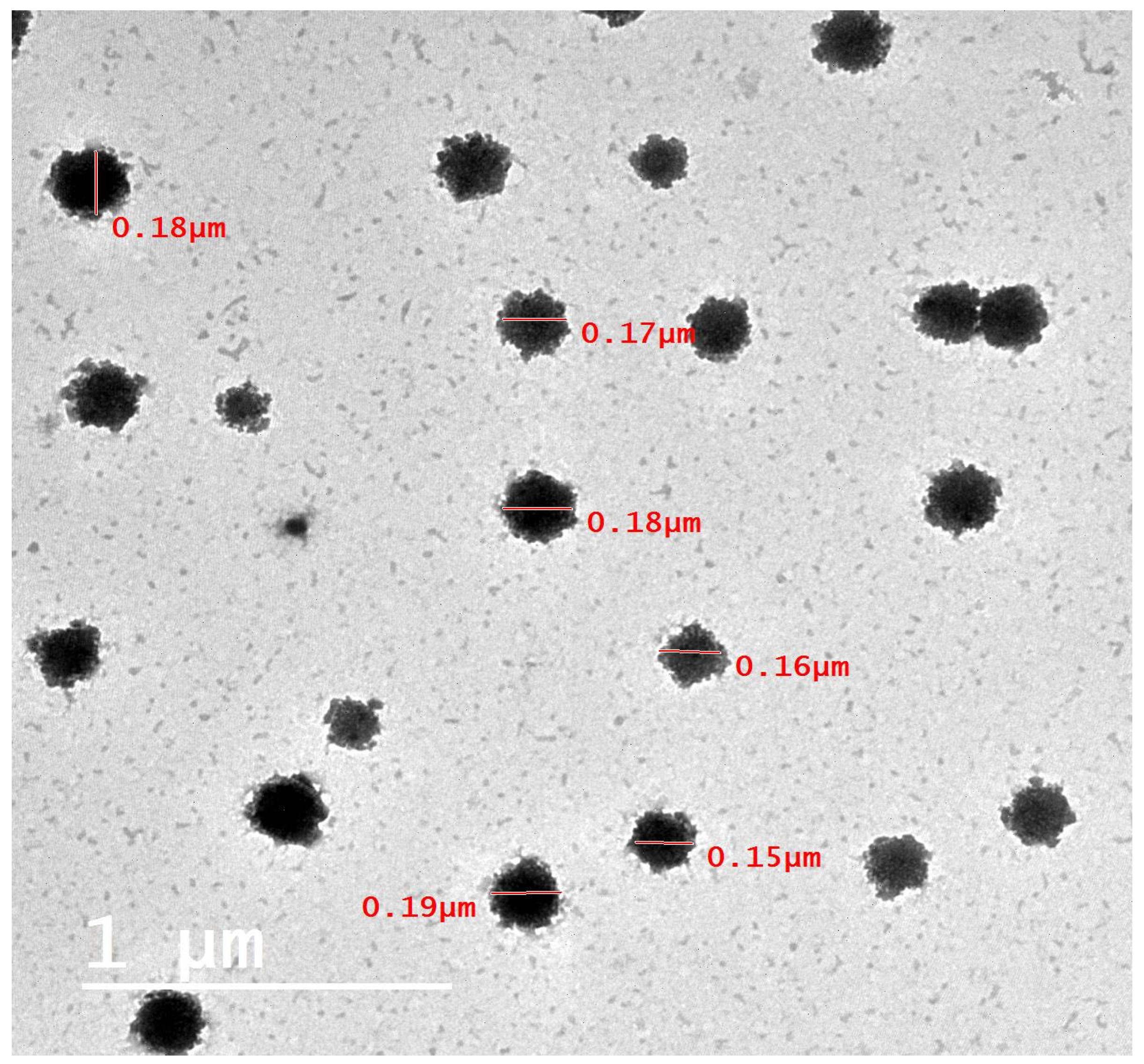 Cosmetics 11 00059 g007 Cosmetics 11 00059 g007