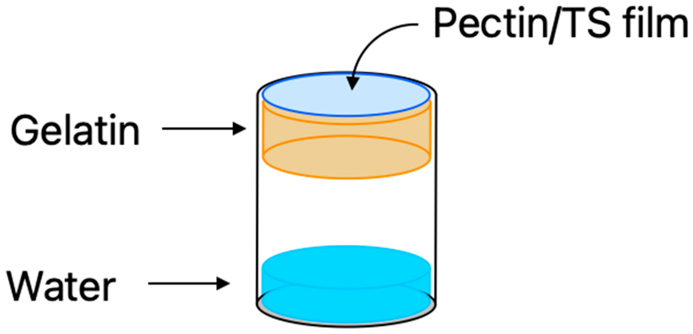 Cosmetics 11 00063 g002