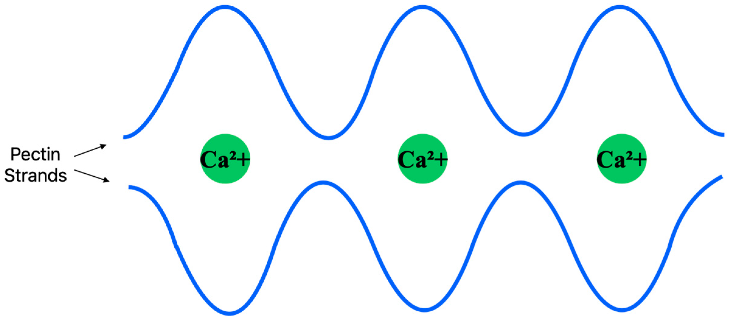 Cosmetics 11 00063 g004