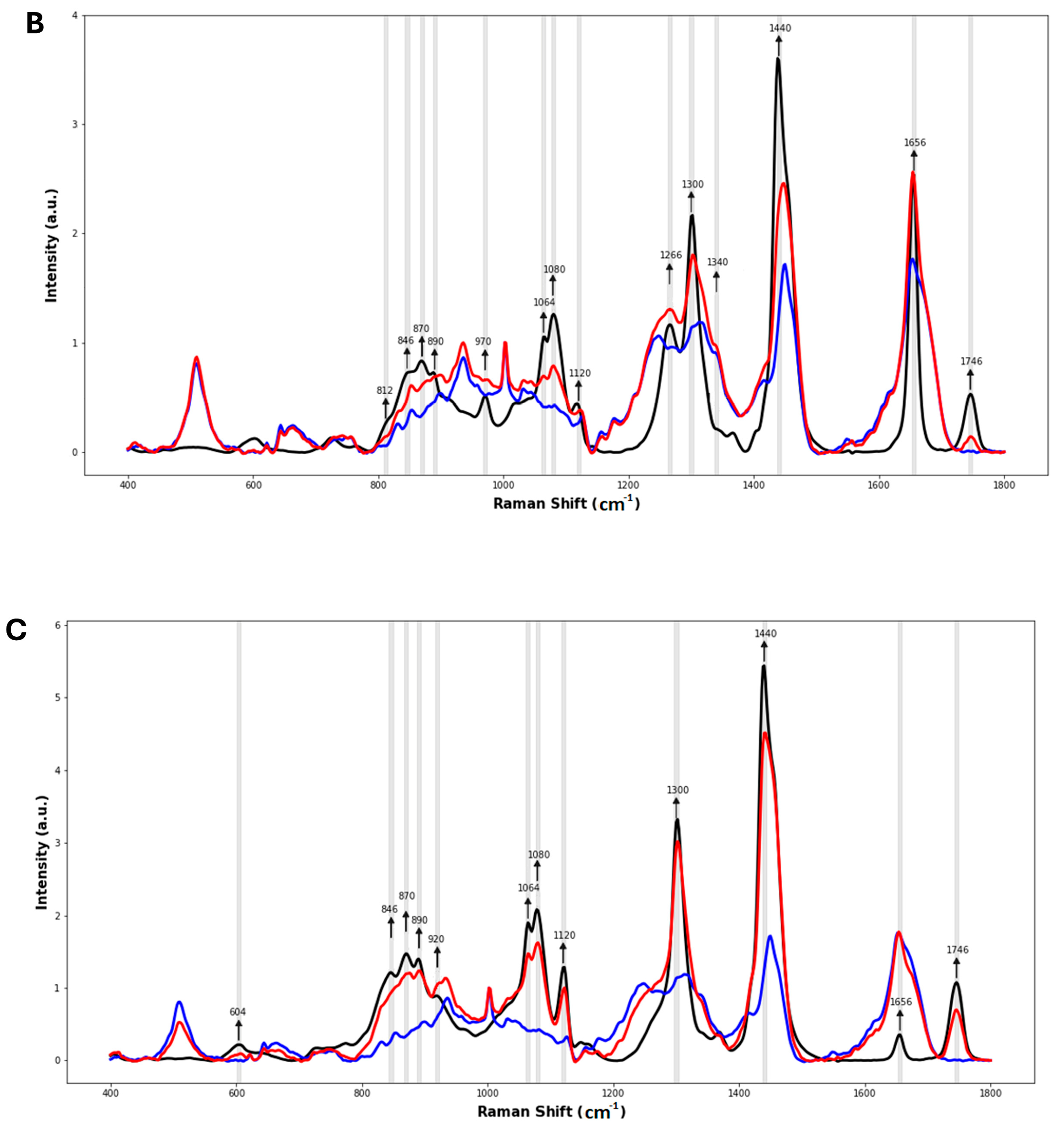 Cosmetics 11 00064 g003b Cosmetics 11 00064 g003b