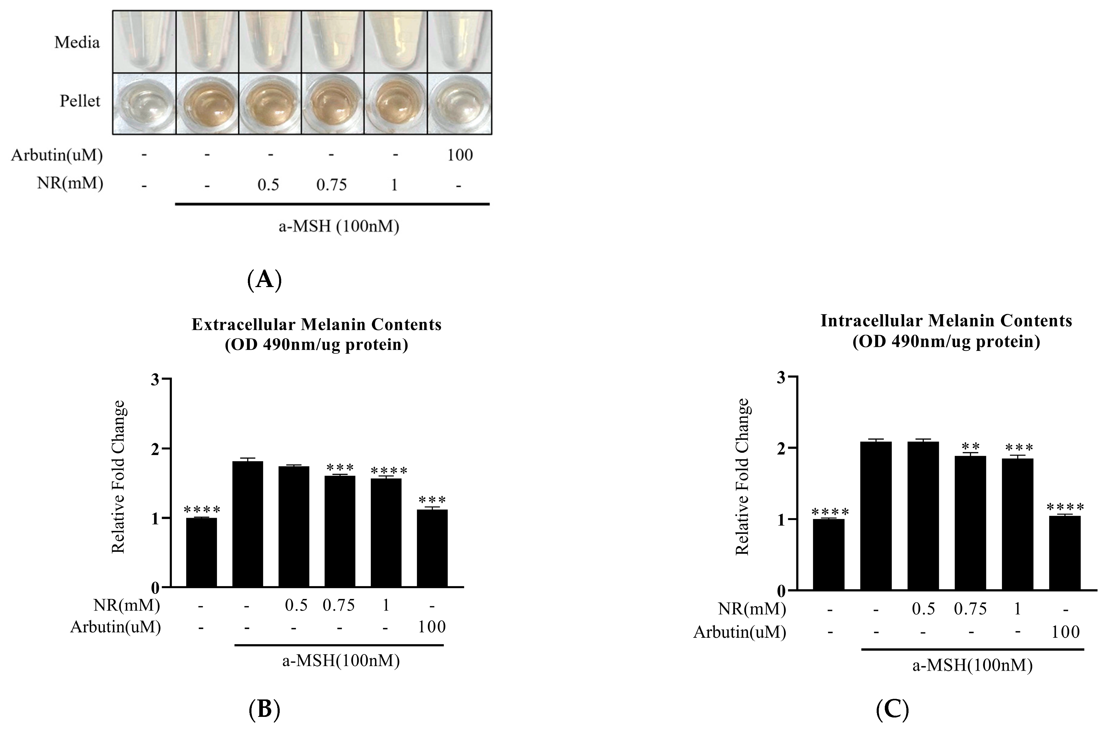 Cosmetics 11 00073 g002