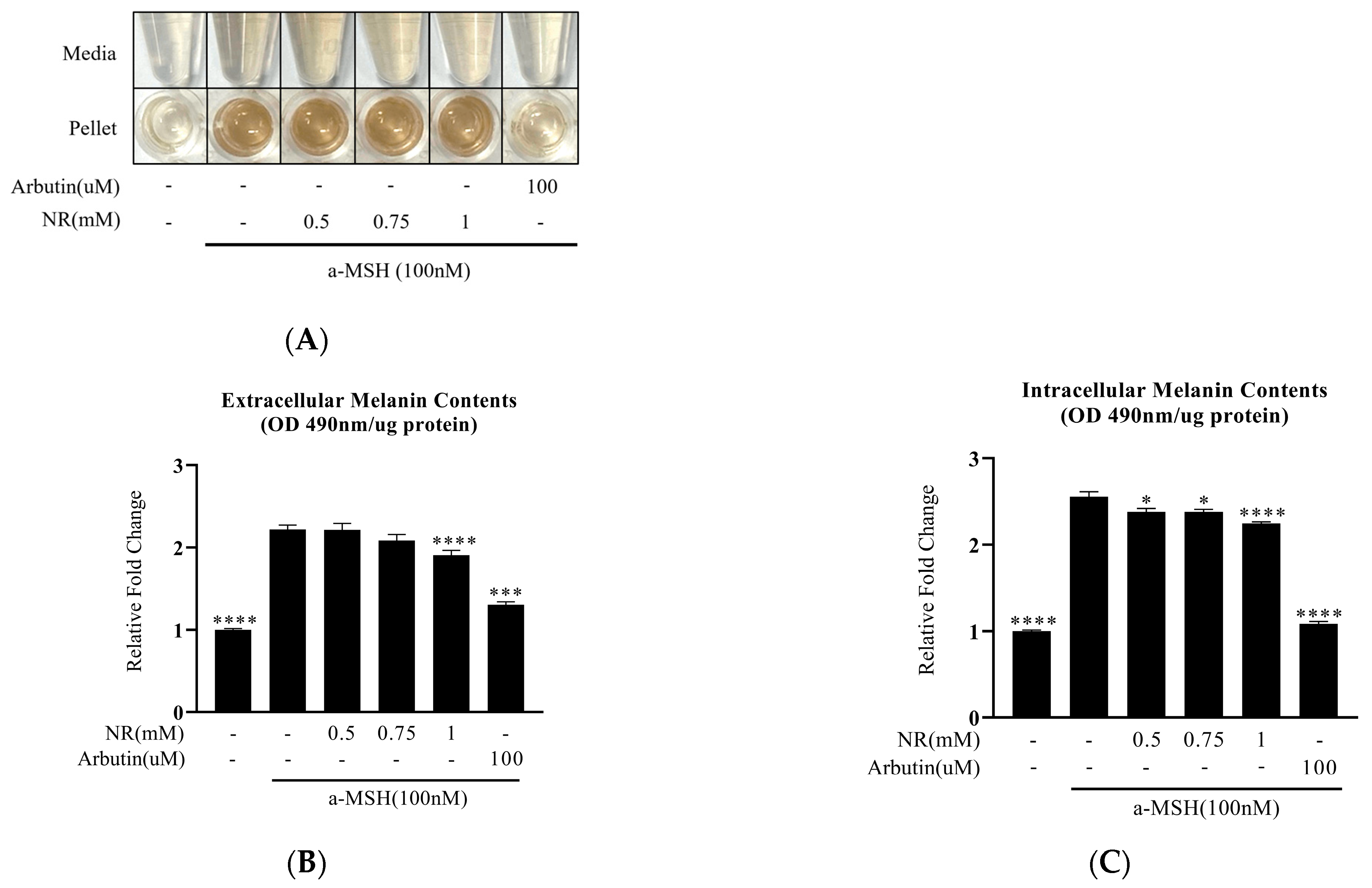 Cosmetics 11 00073 g003