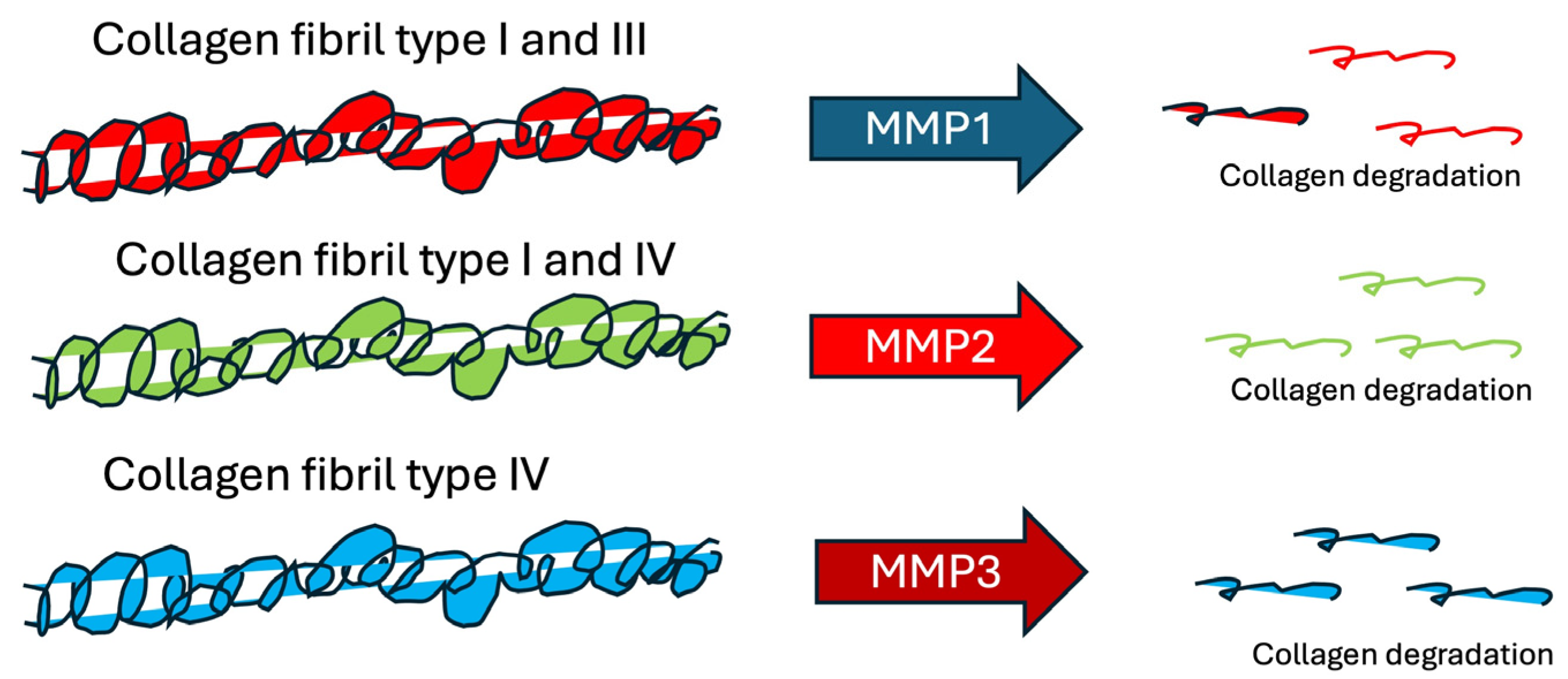 Cosmetics 11 00080 g002 Cosmetics 11 00080 g002