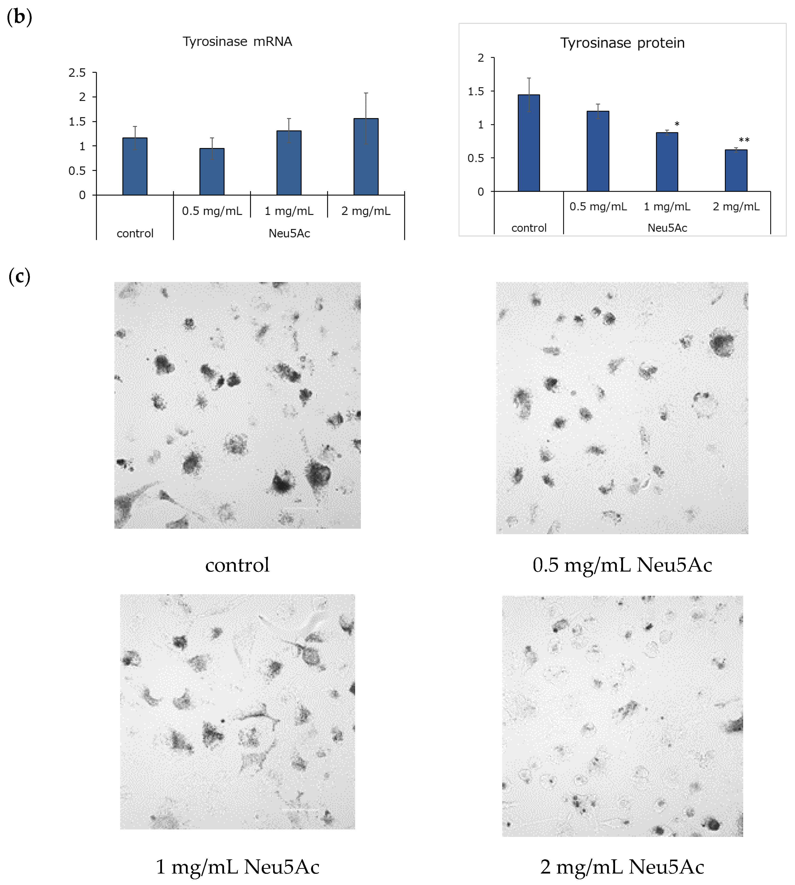Cosmetics 11 00082 g002b
