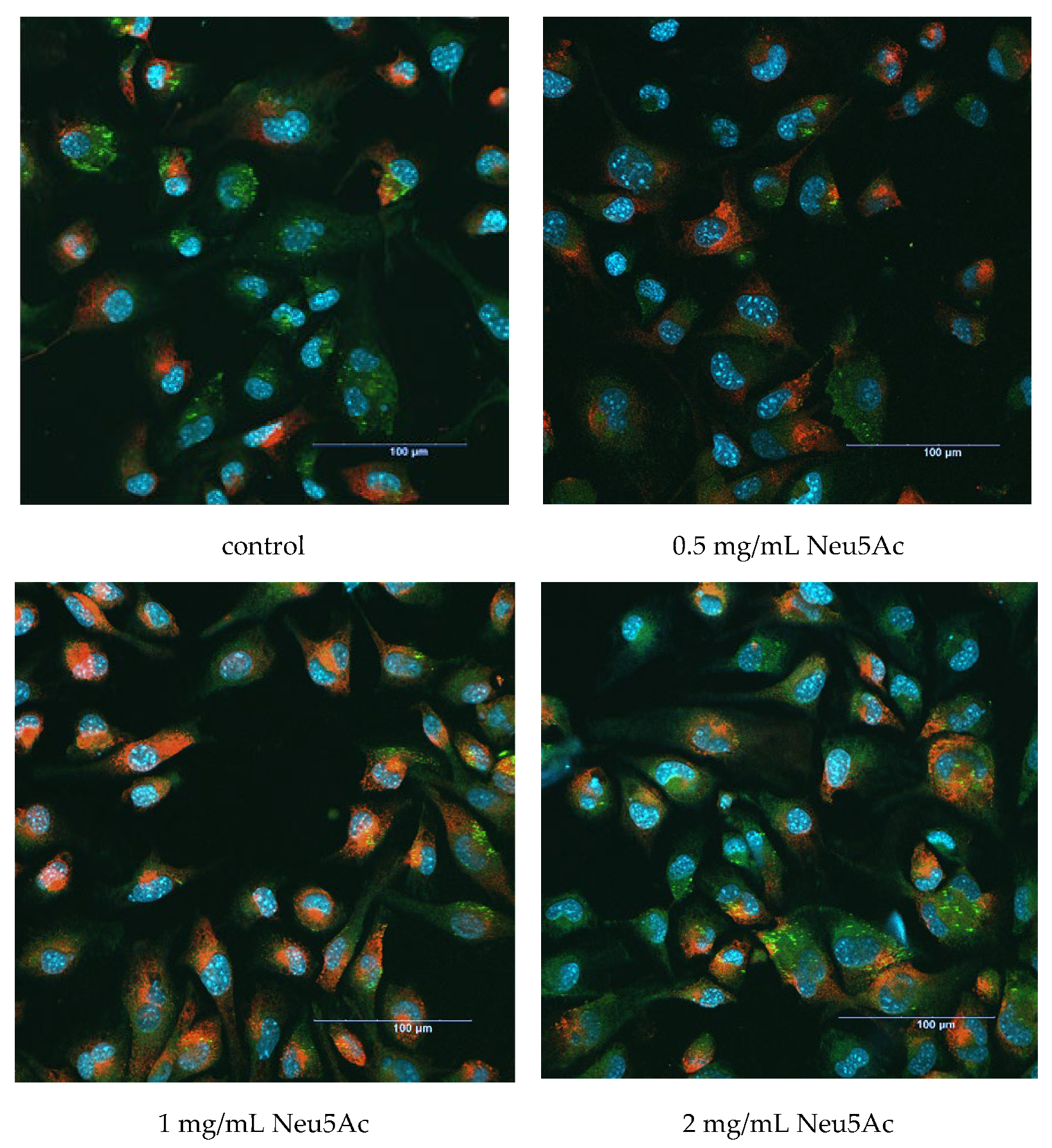 Cosmetics 11 00082 g003