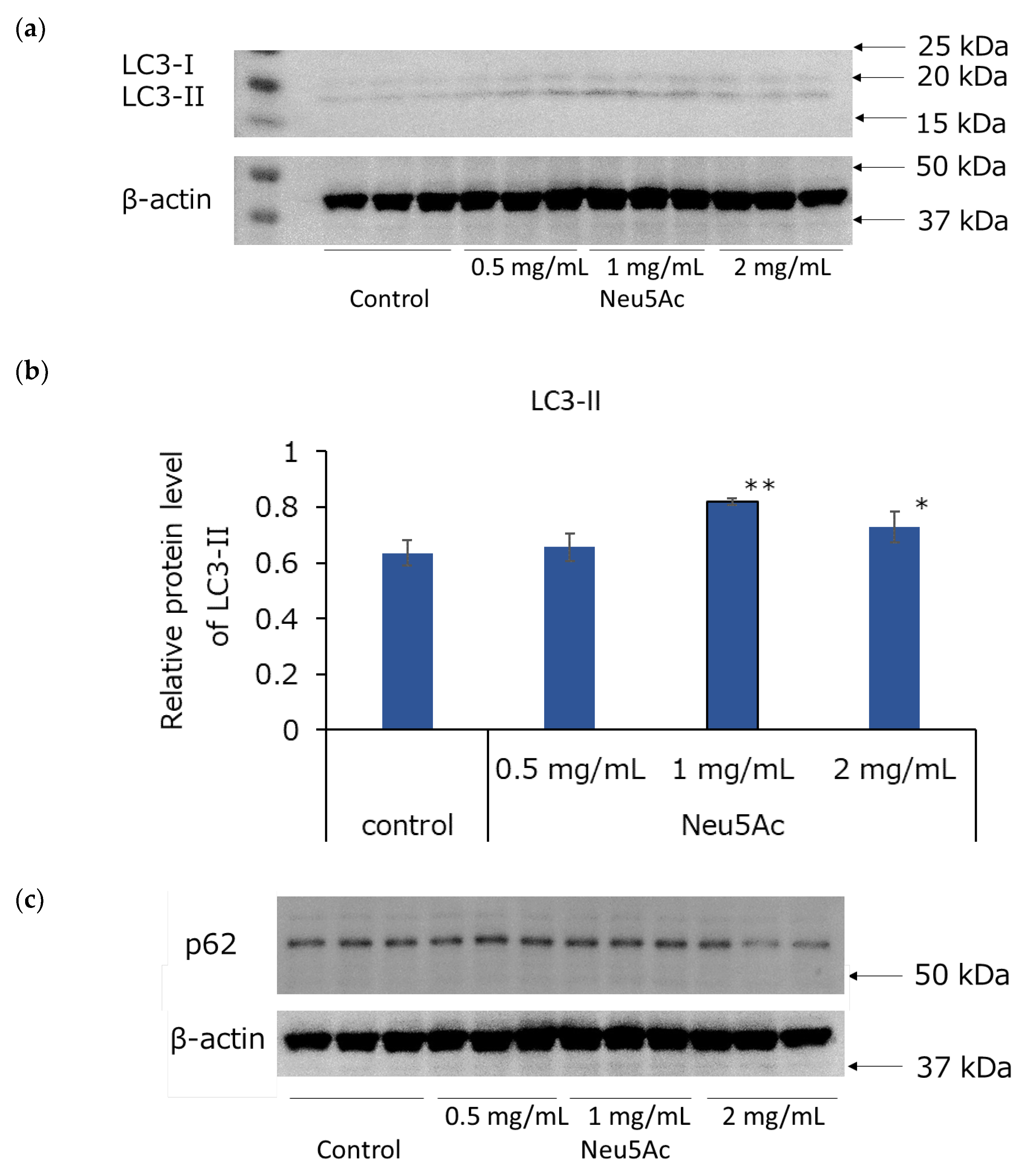 Cosmetics 11 00082 g005a