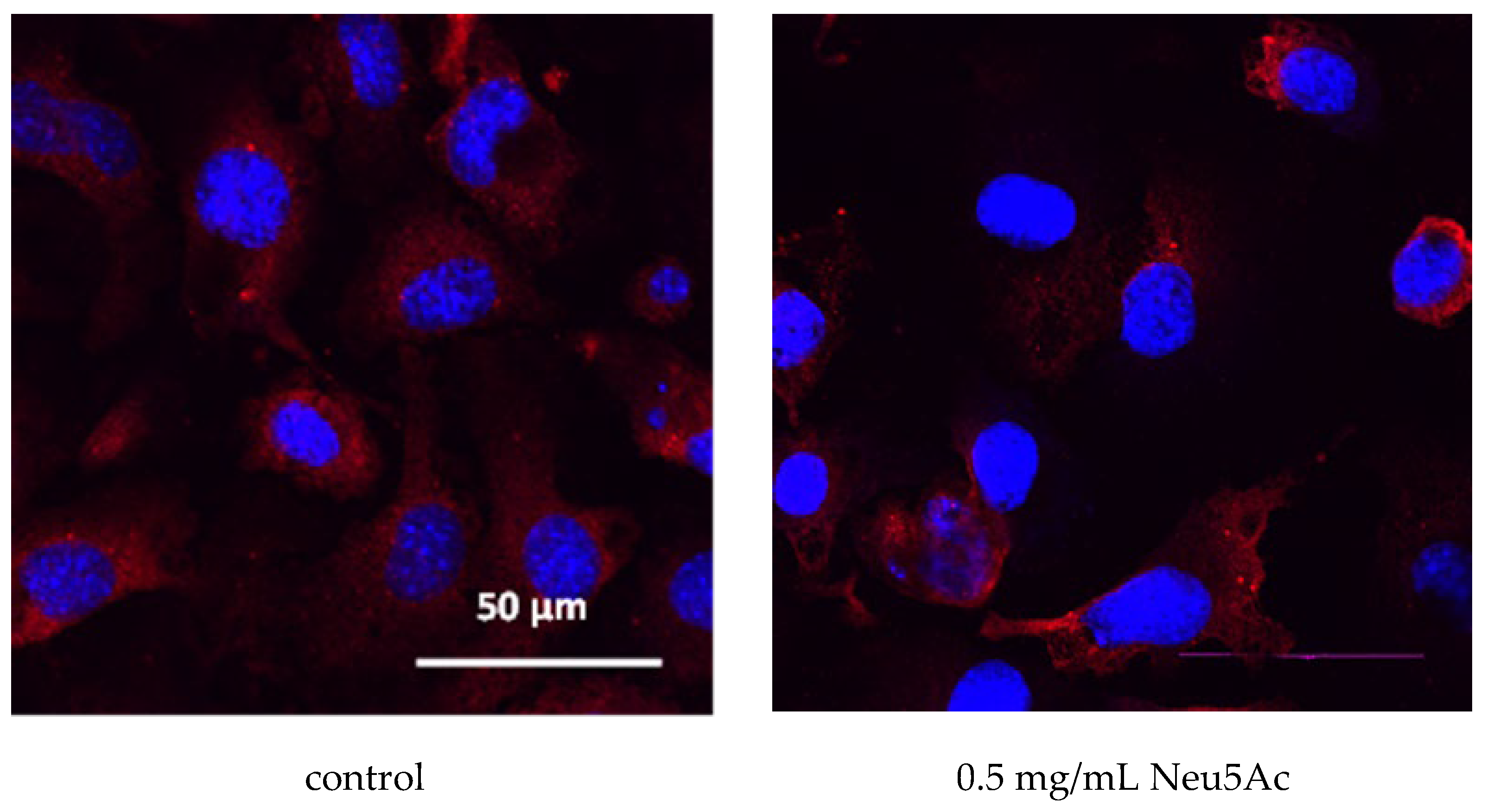 Cosmetics 11 00082 g006a