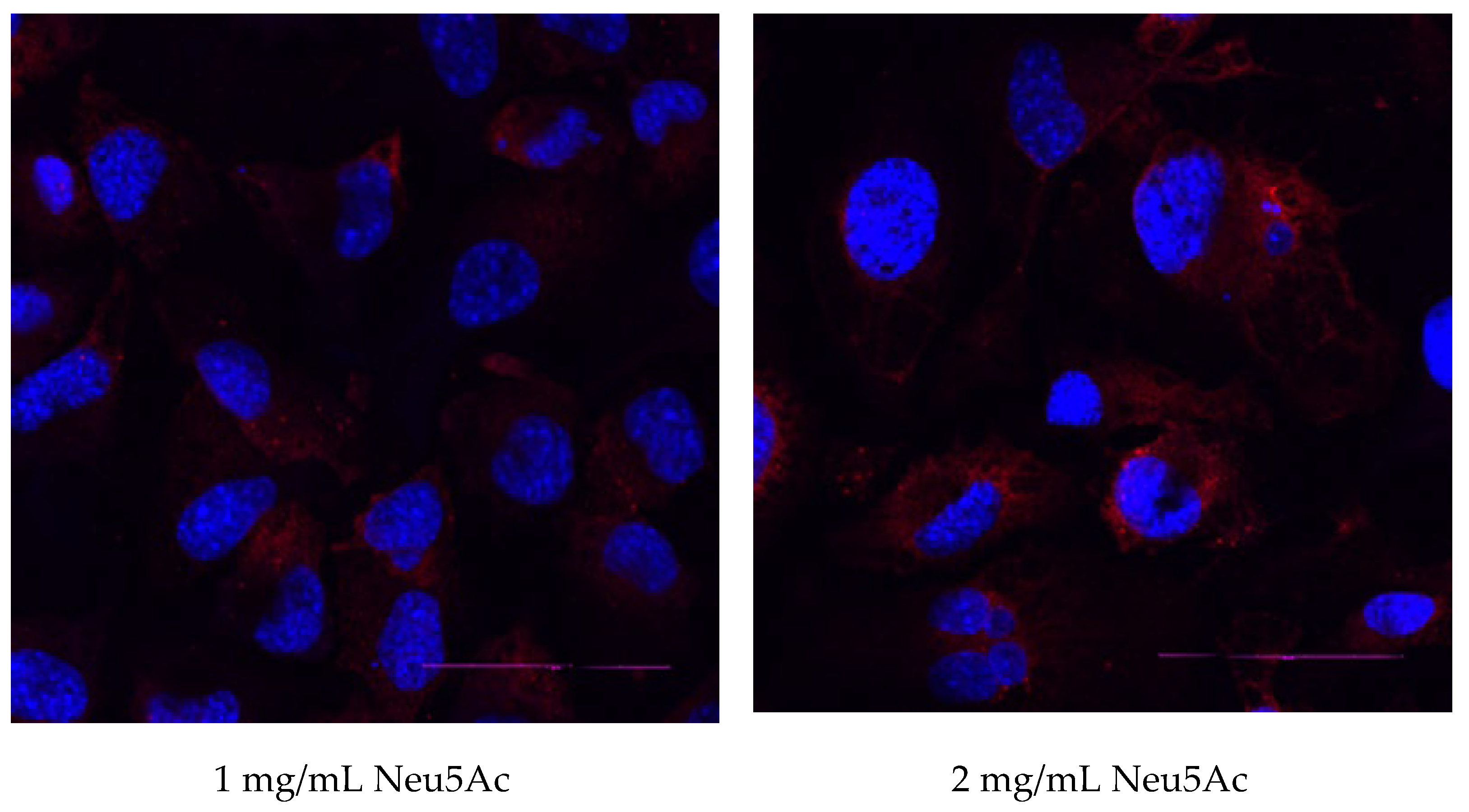 Cosmetics 11 00082 g006b