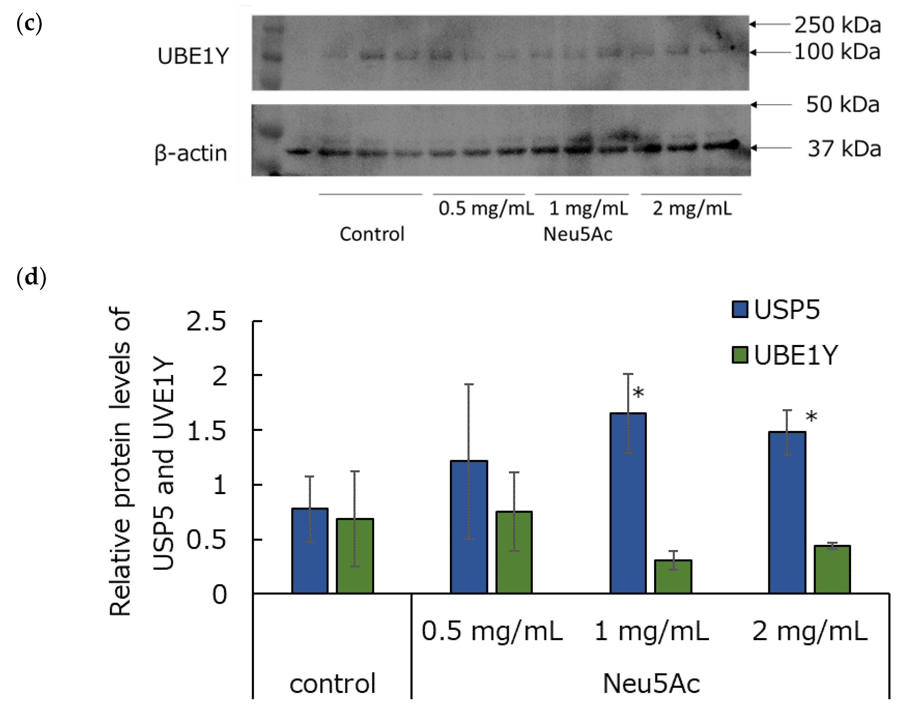 Cosmetics 11 00082 g007b